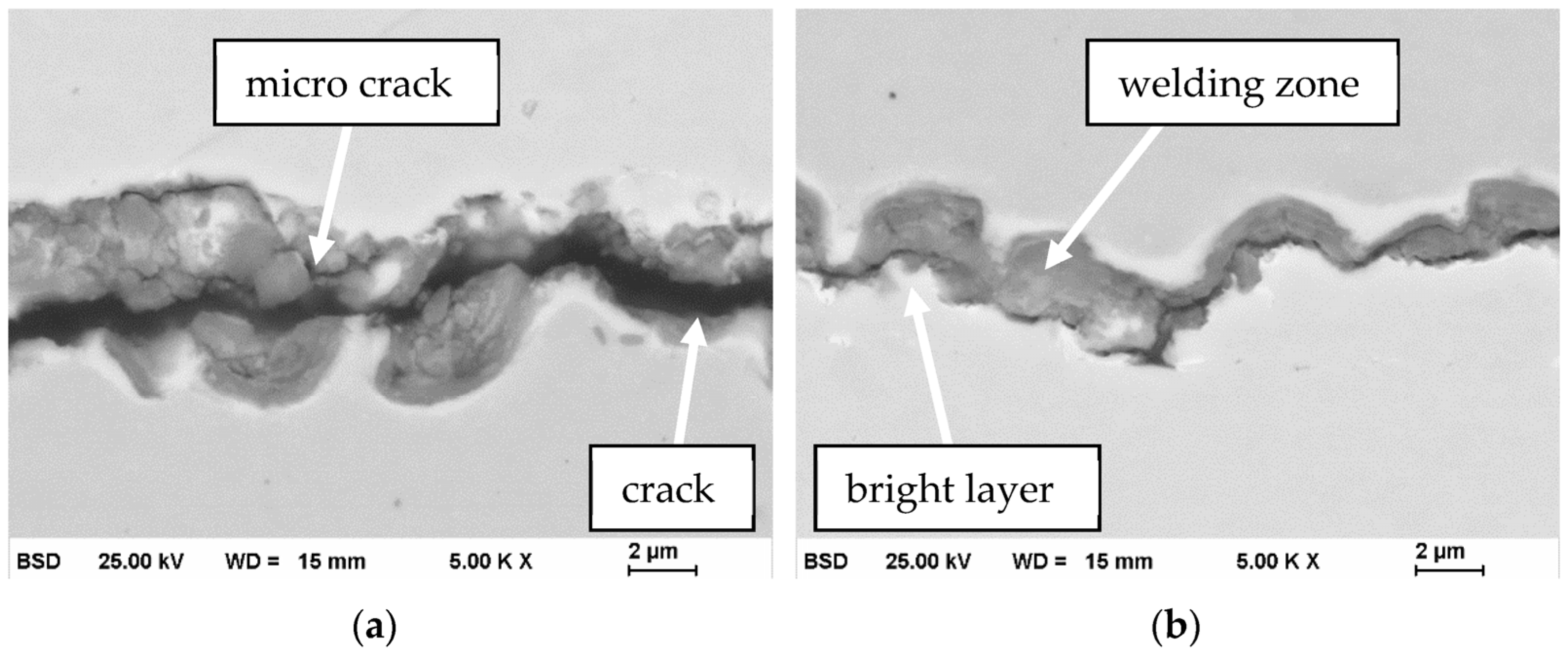 Metals 11 01936 g007 550