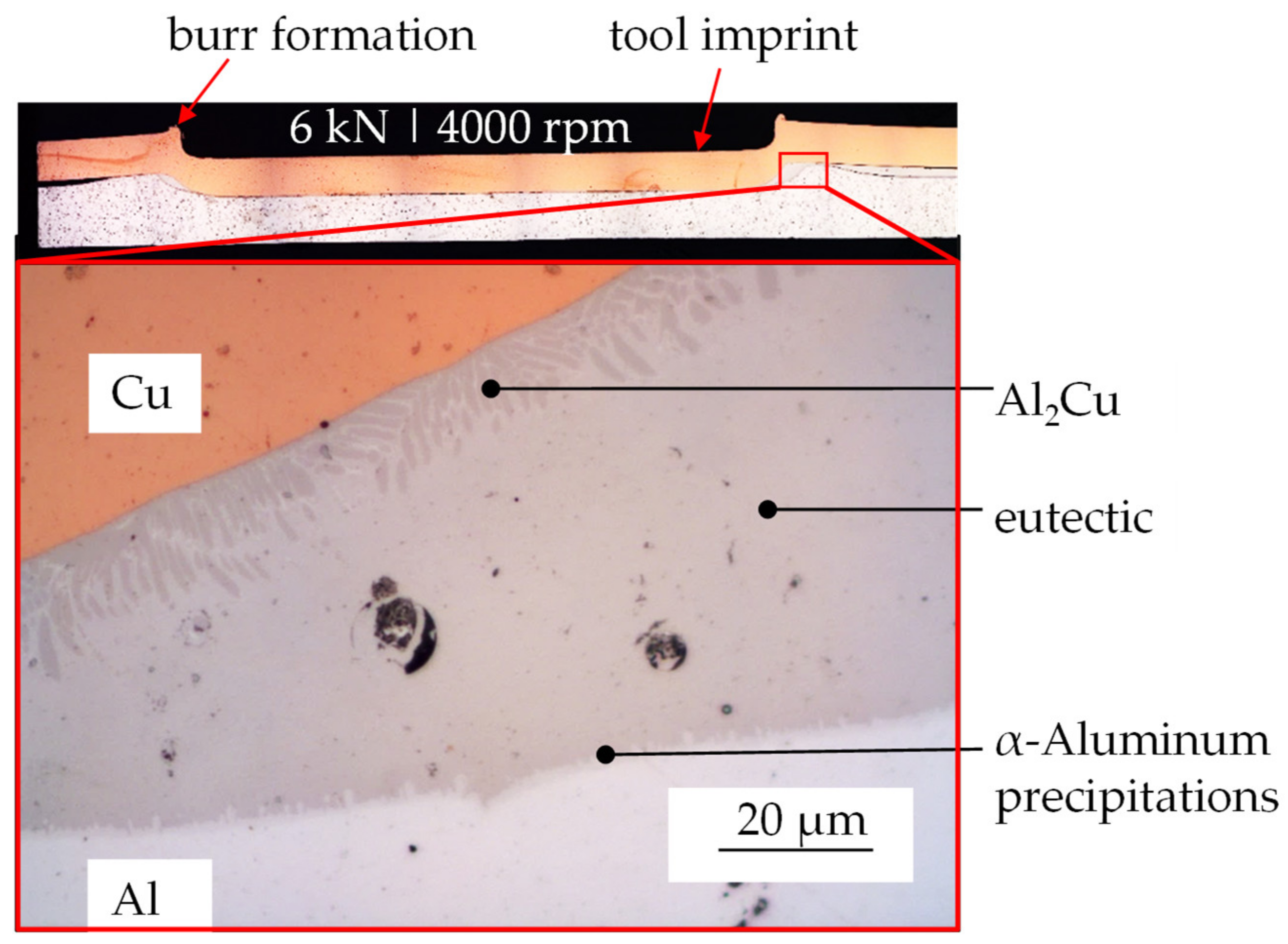 Metals 11 01949 g008