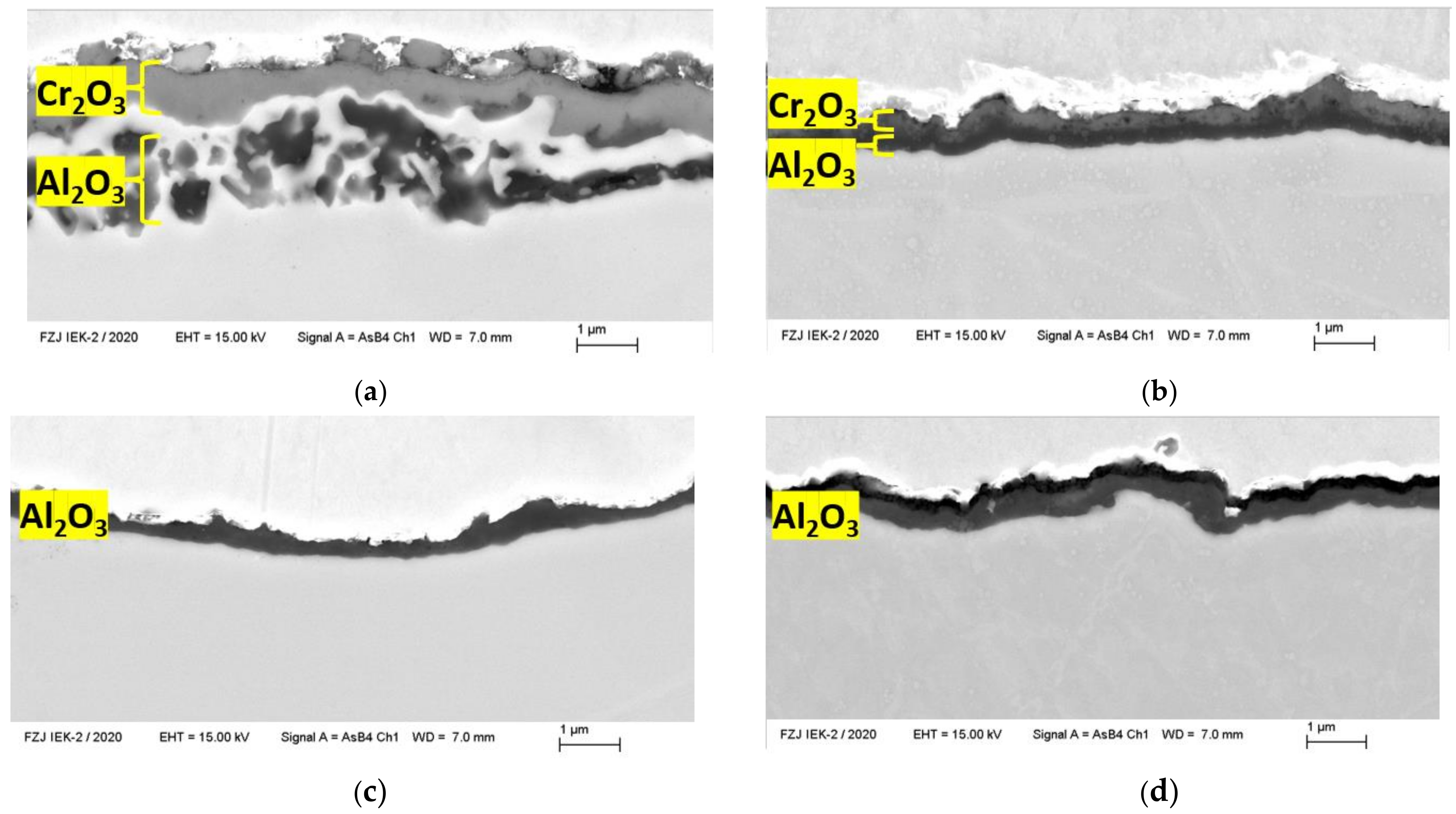Metals 11 01970 g002 550