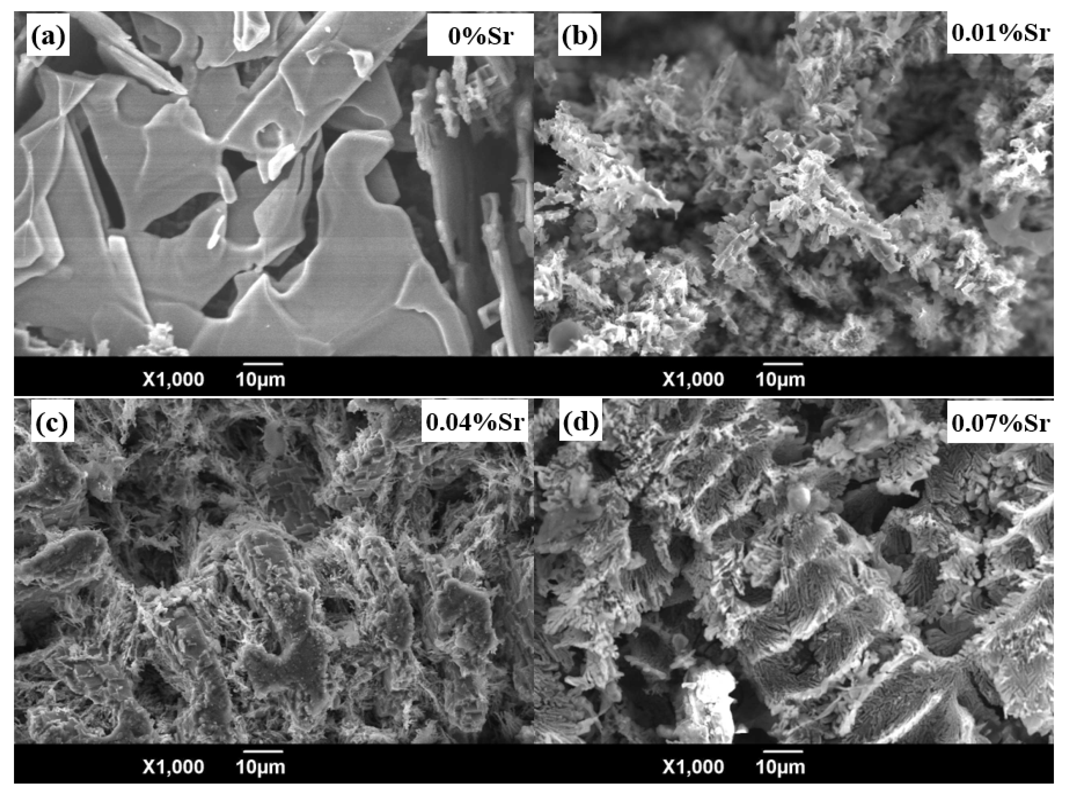 Metals 11 01974 g001