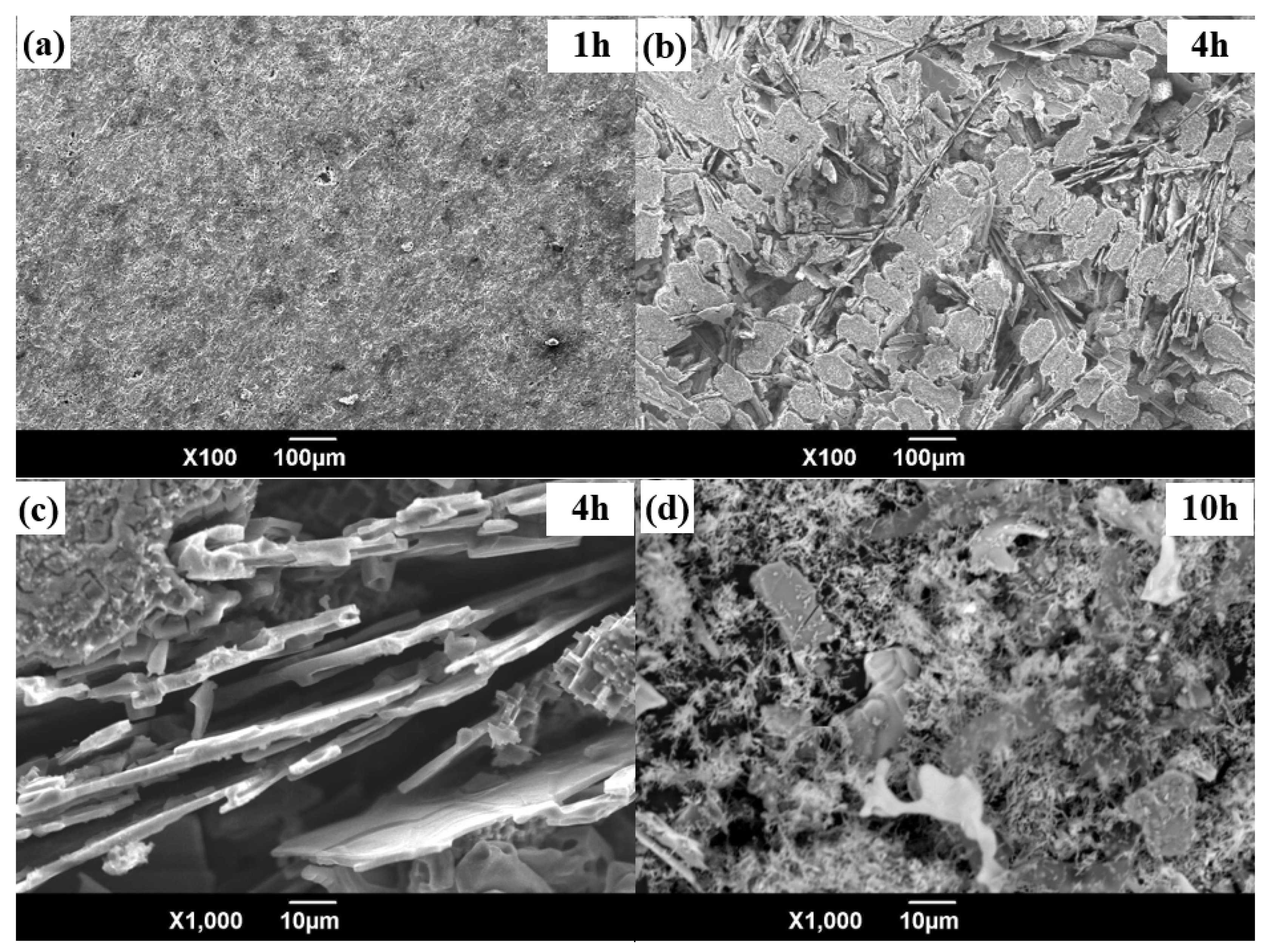 Metals 11 01974 g007