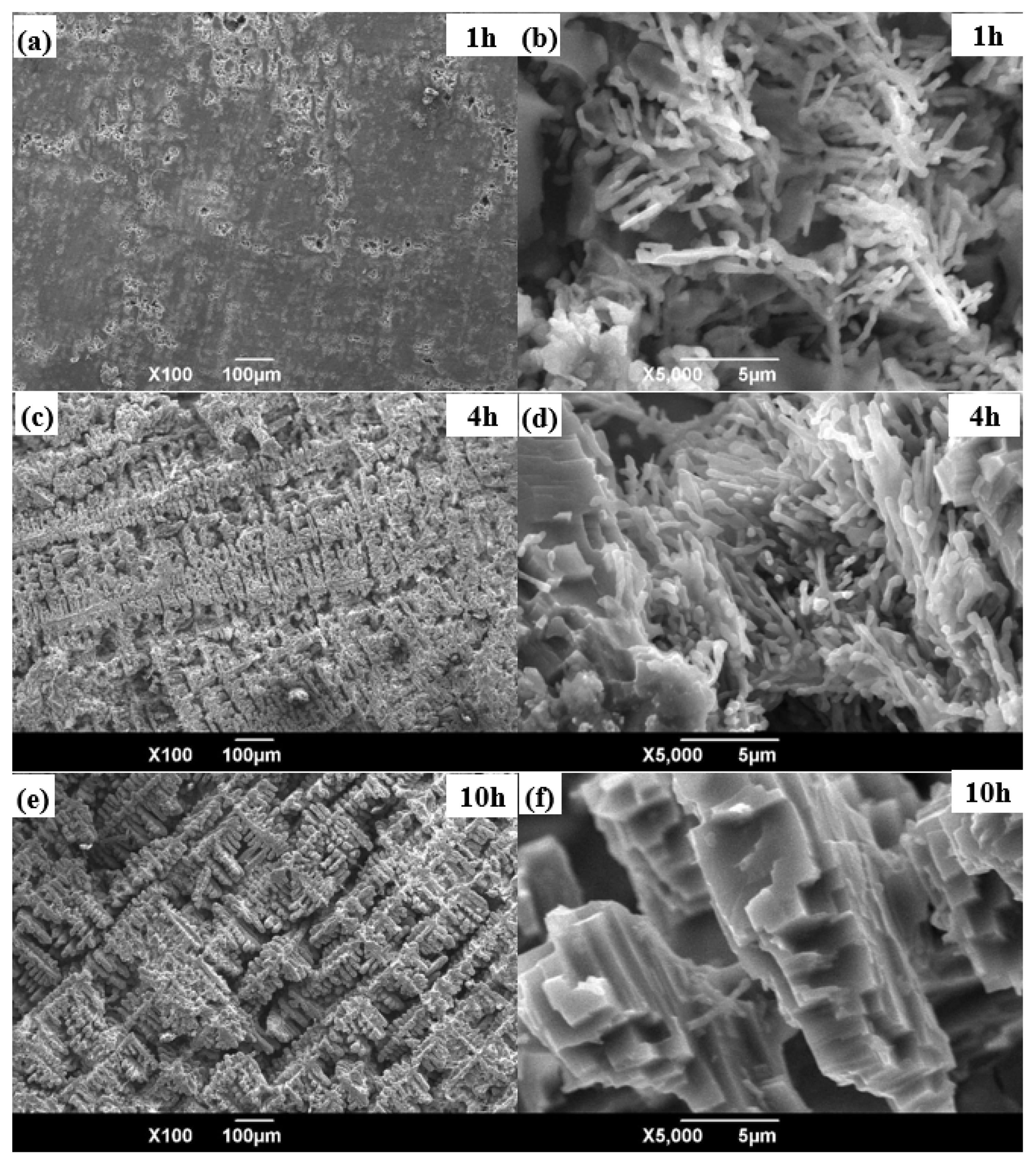 Metals 11 01974 g008