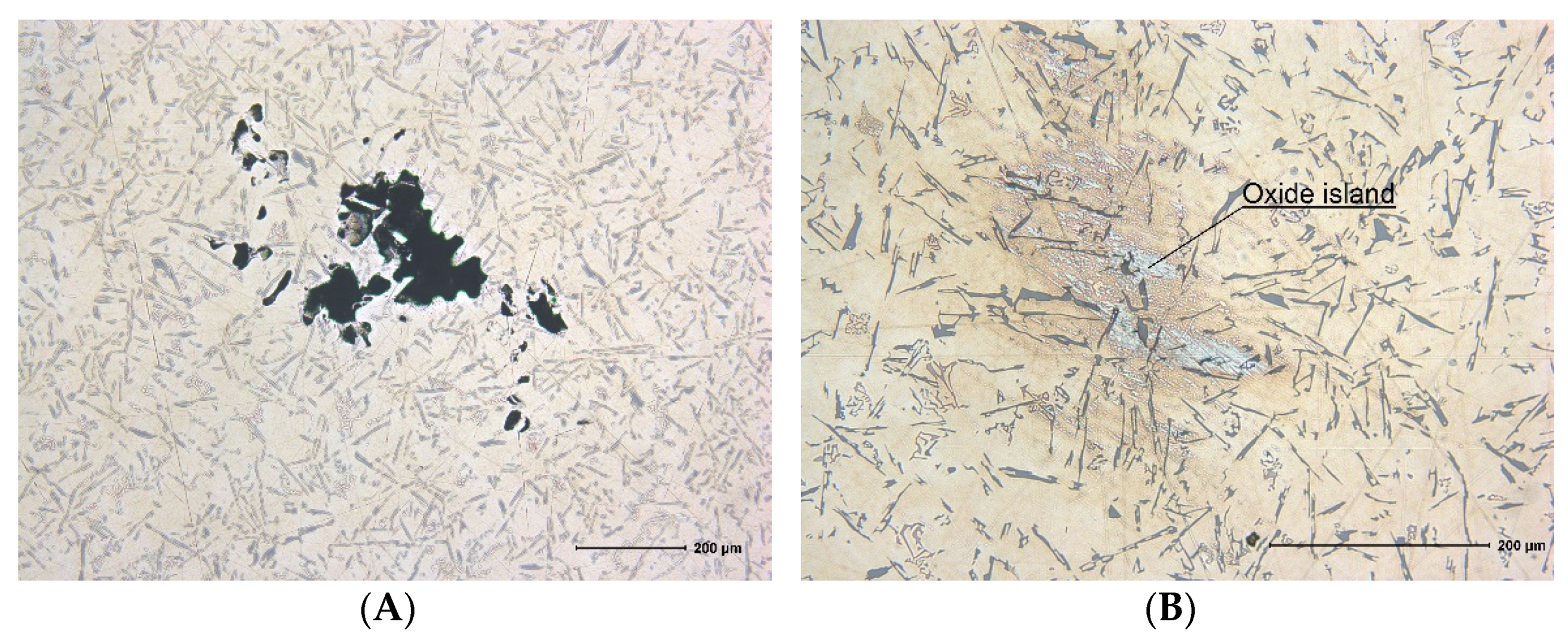 Metals 11 01984 g005 550