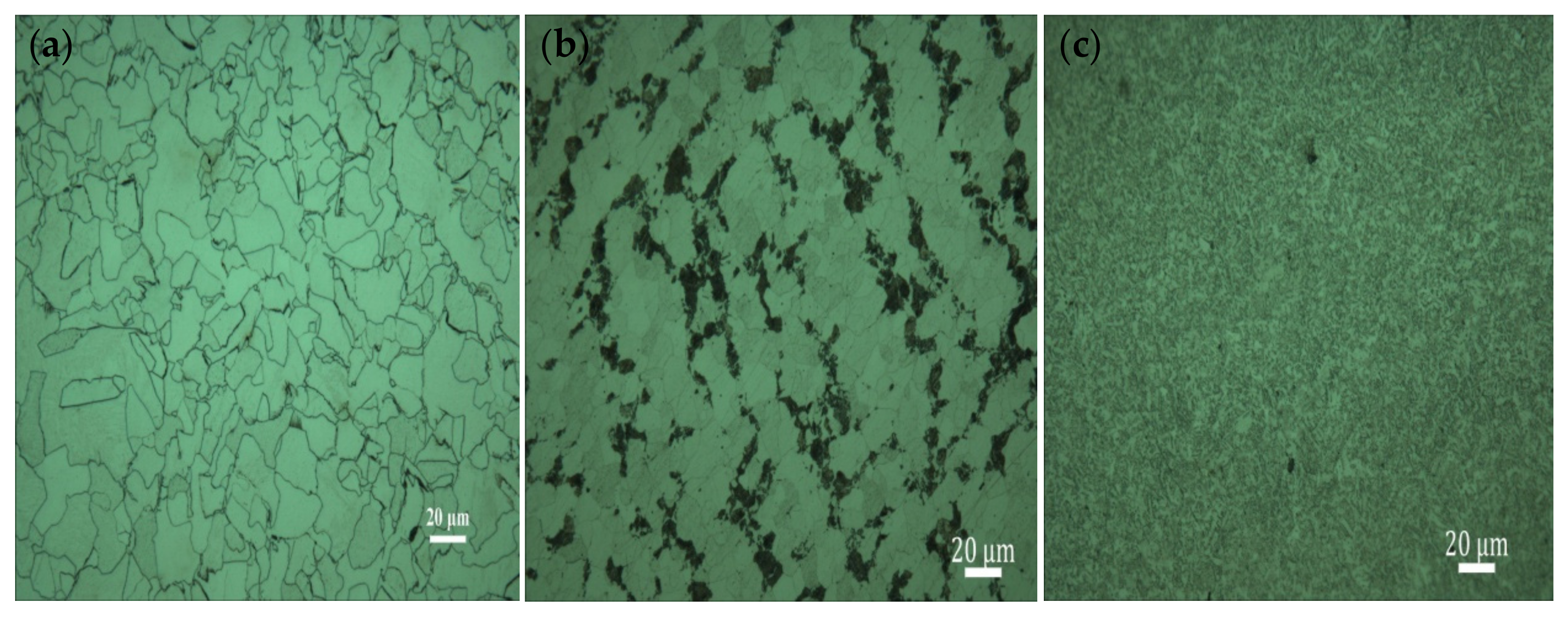 Metals 11 01986 g001