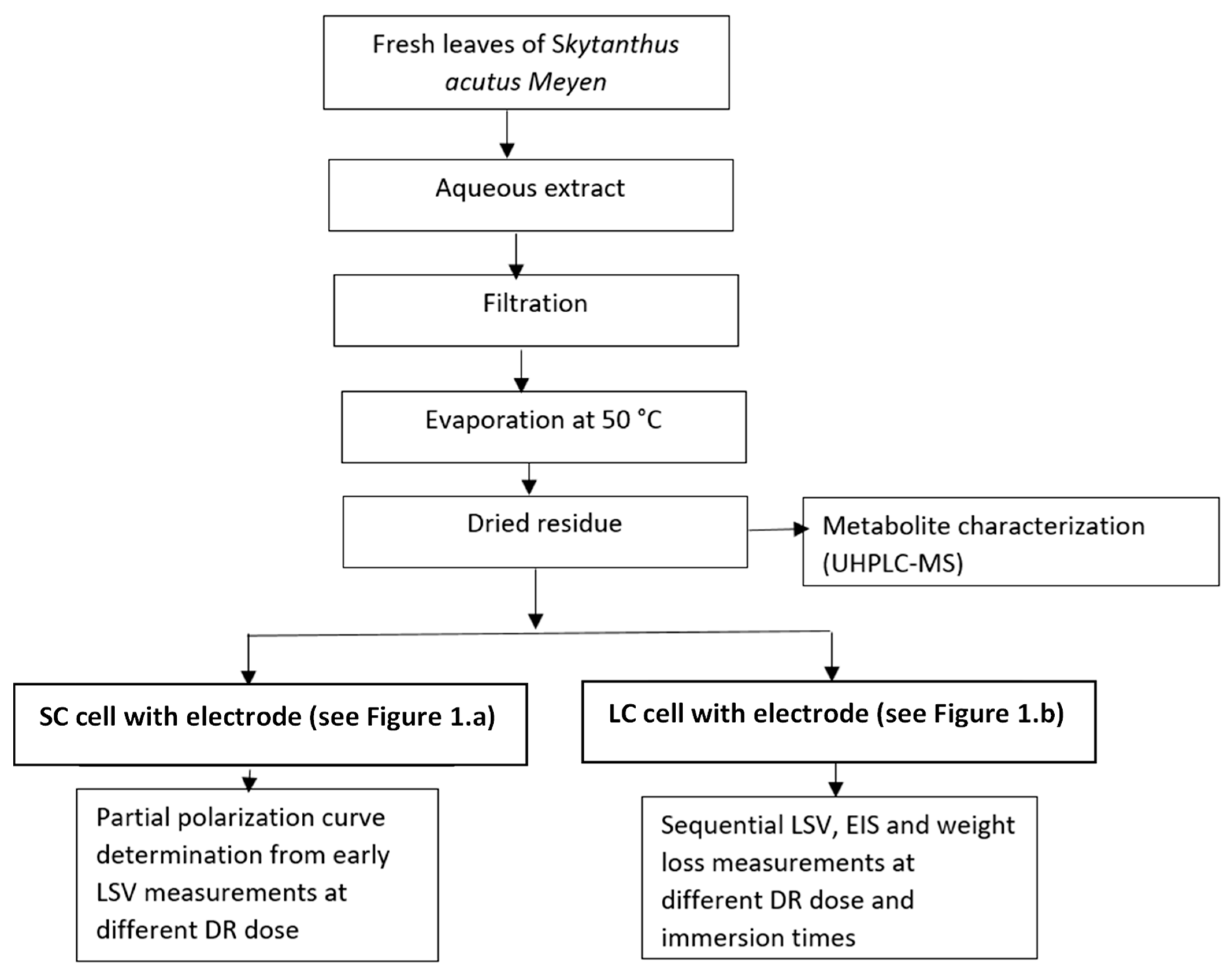 Metals 11 01992 g002 550