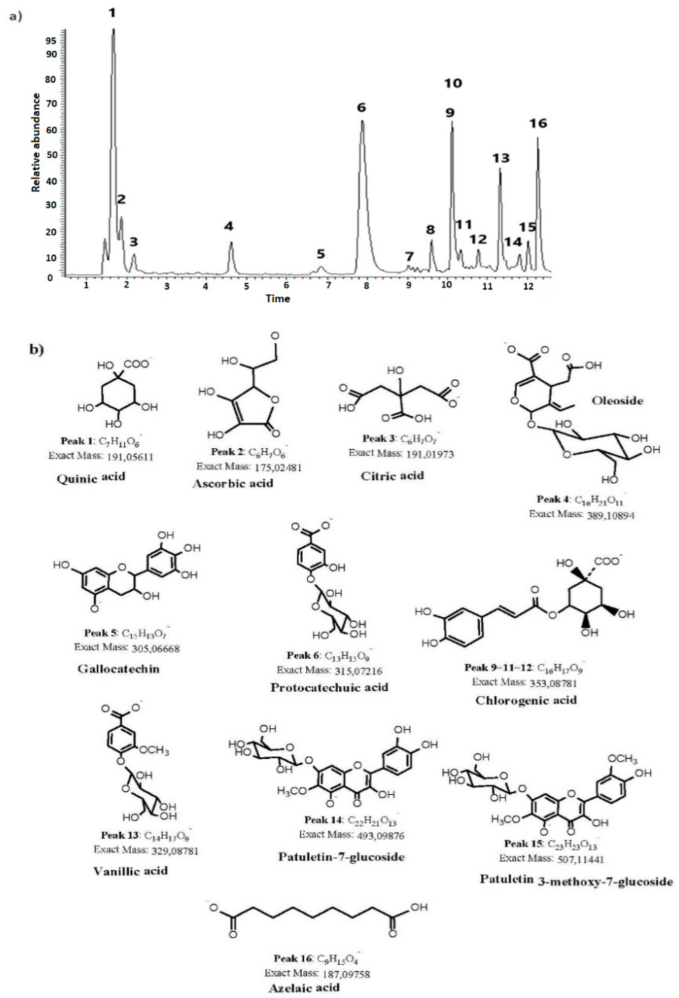 Metals 11 01992 g010 550