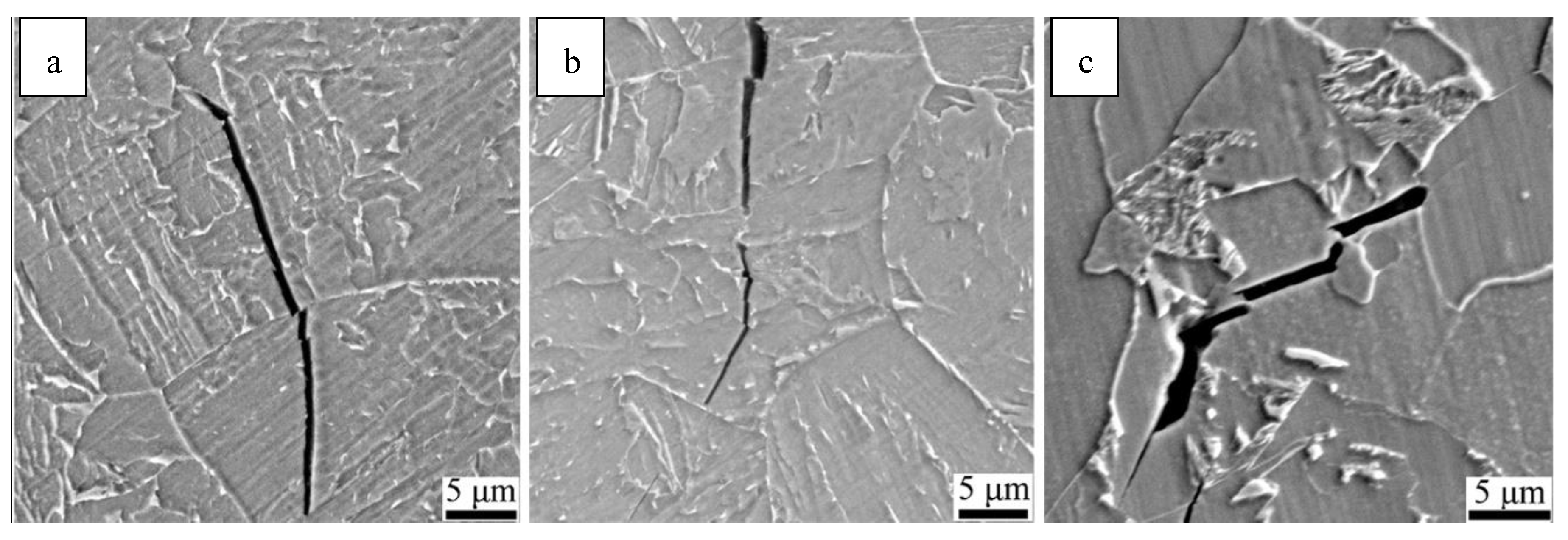 Metals 11 01997 g015