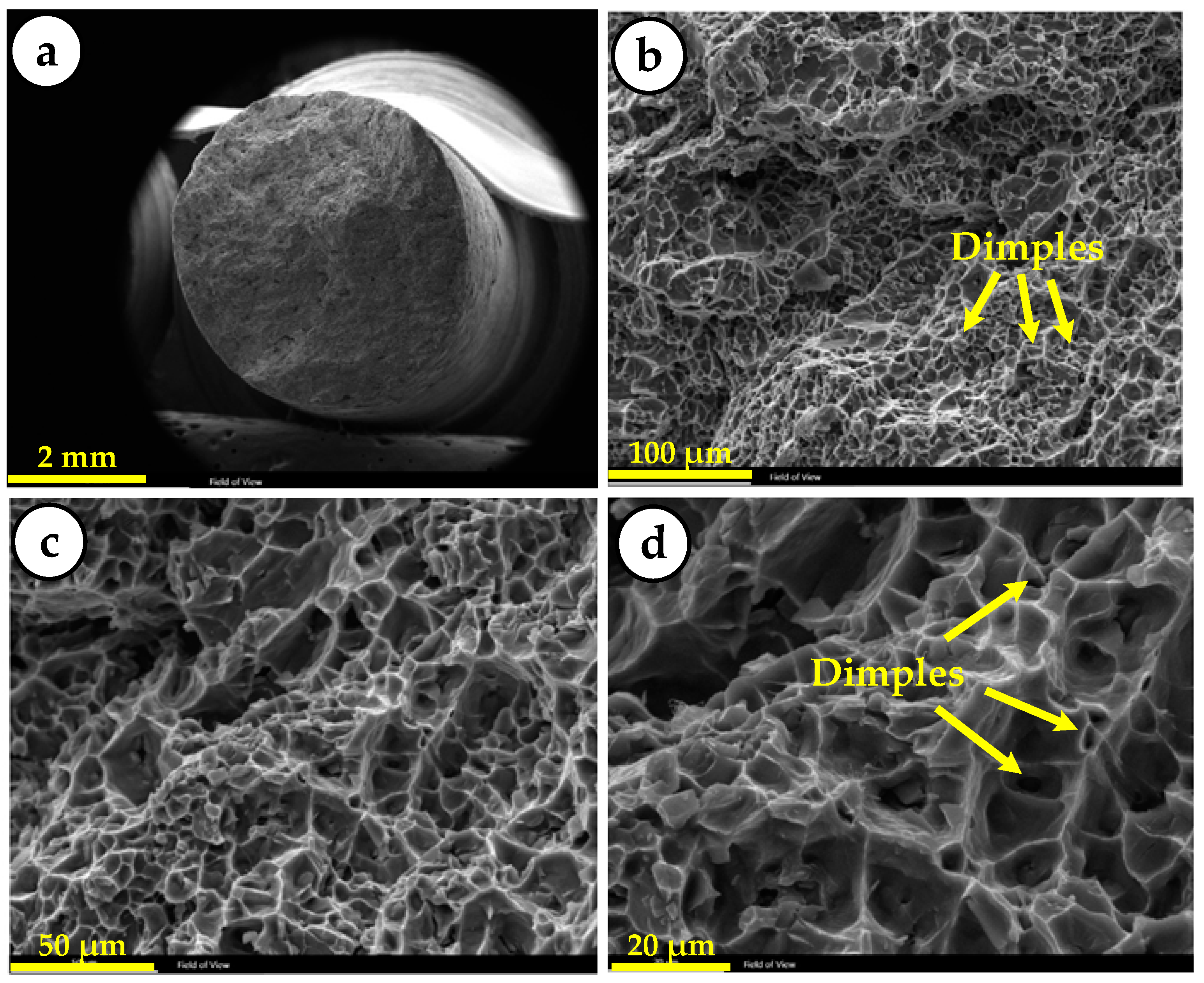 Metals 11 02004 g009 Metals 11 02004 g009