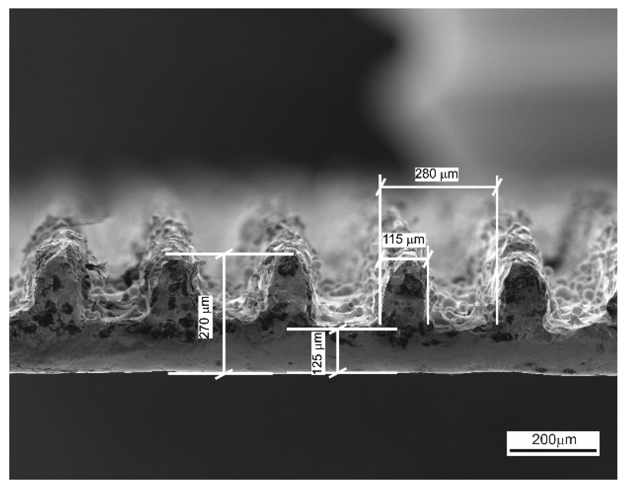 Metals 11 02013 g001