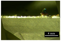 Metals 11 02019 i006