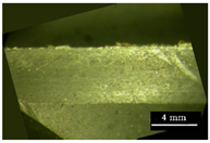 Metals 11 02019 i008