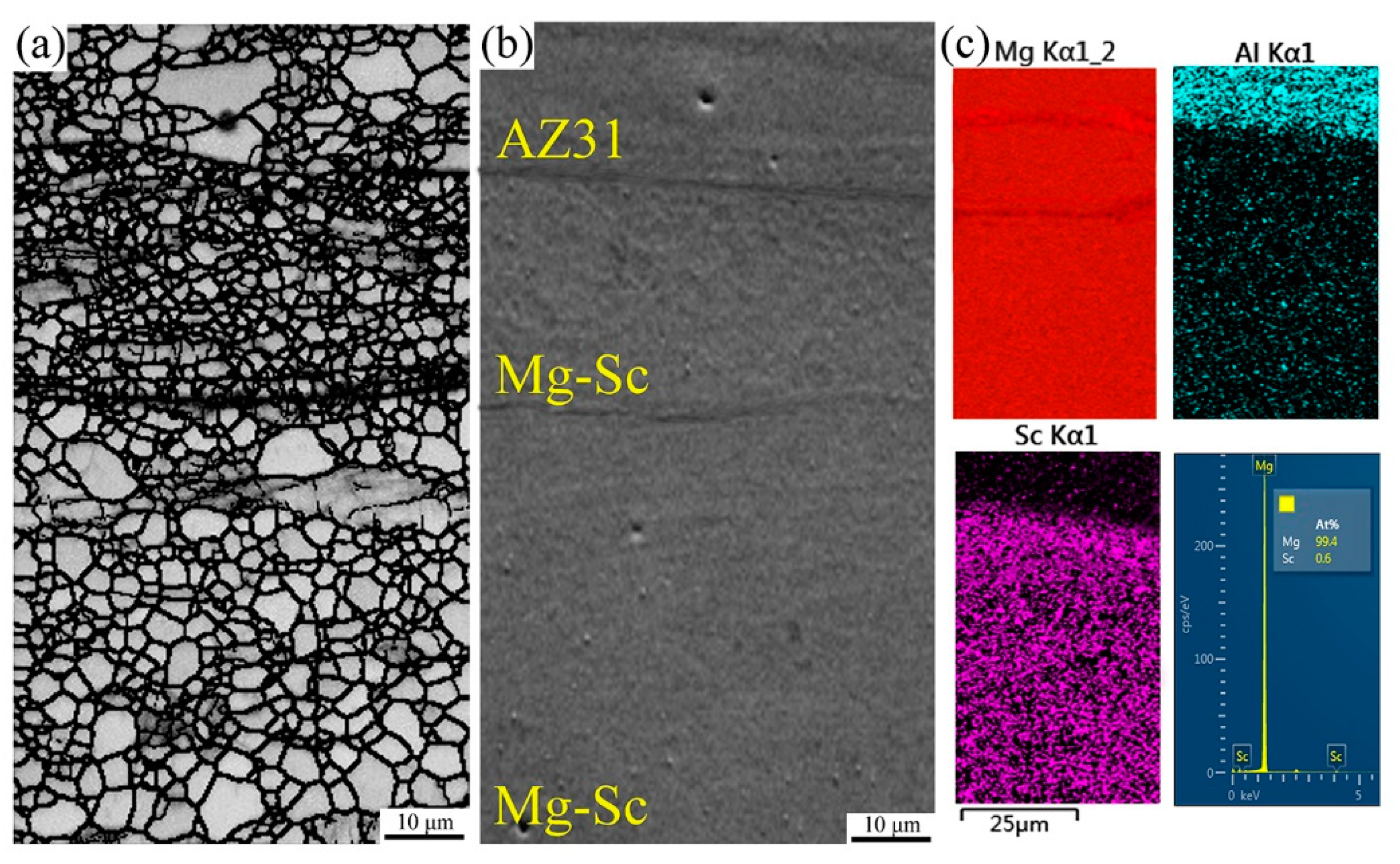 Metals 11 02021 g004 550