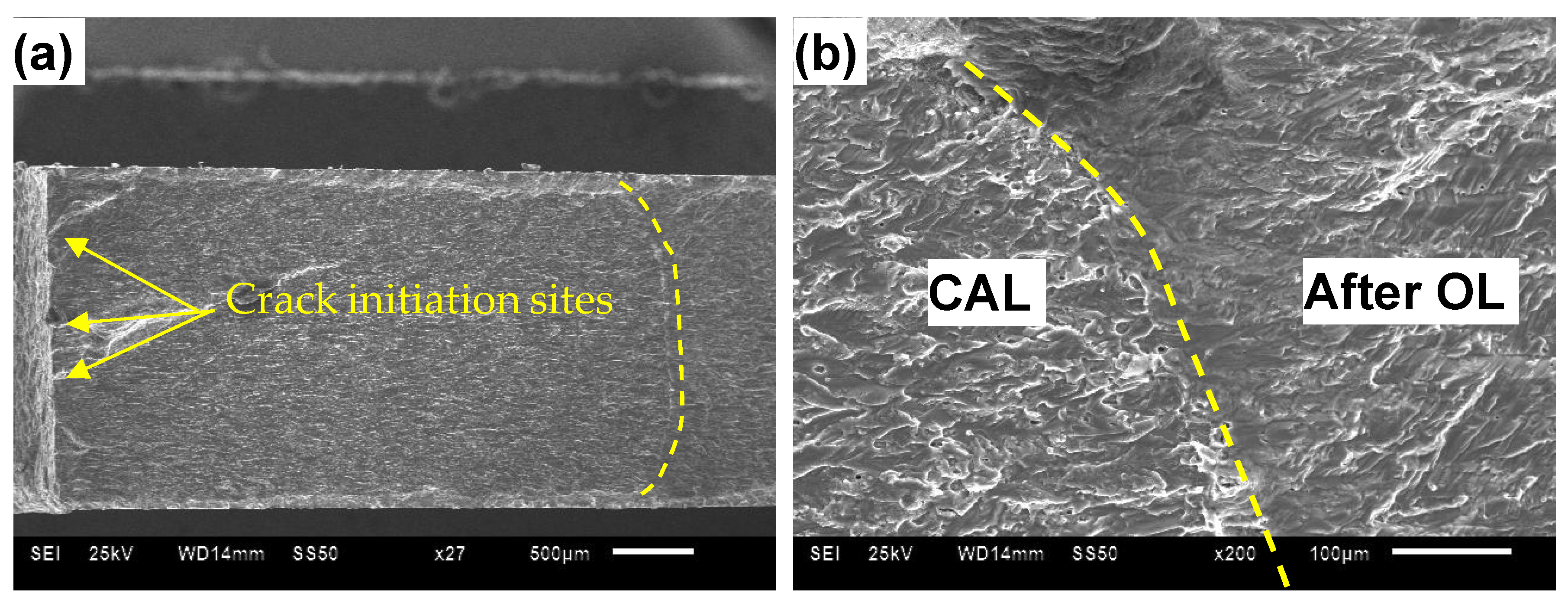 Metals 11 02025 g008