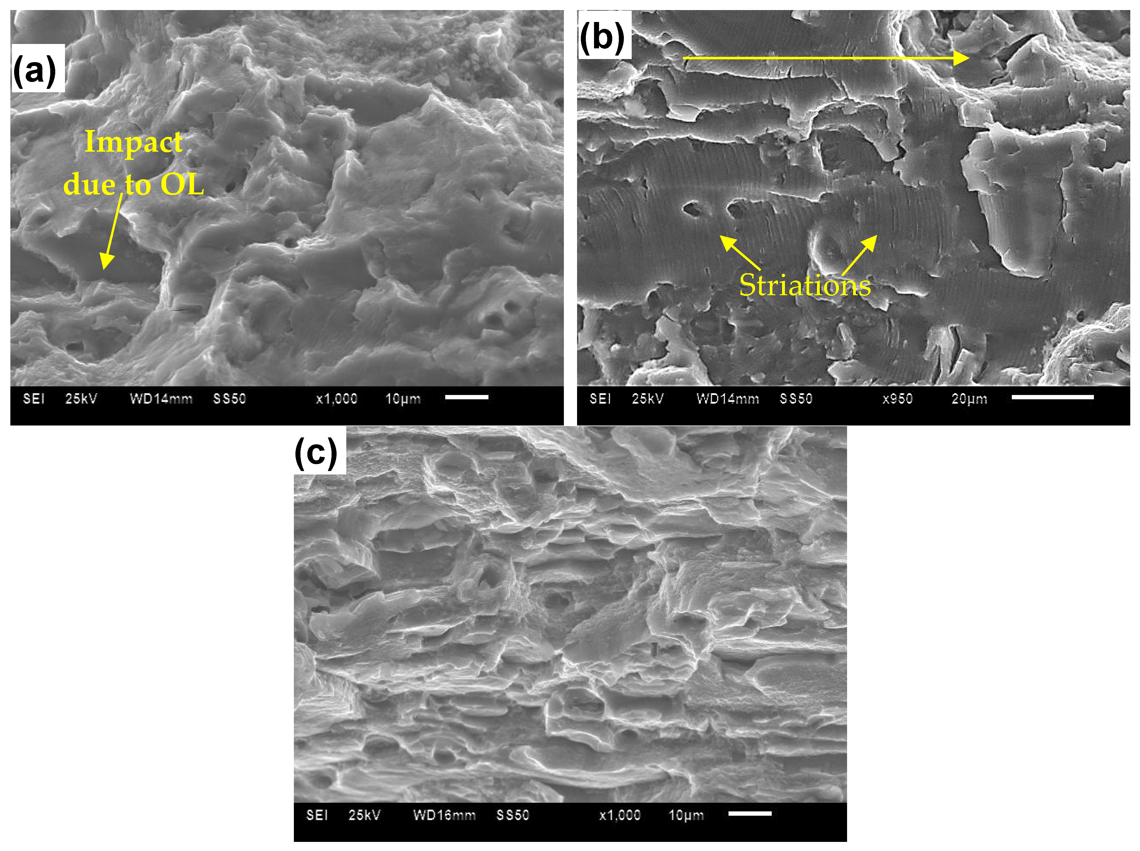 Metals 11 02025 g009