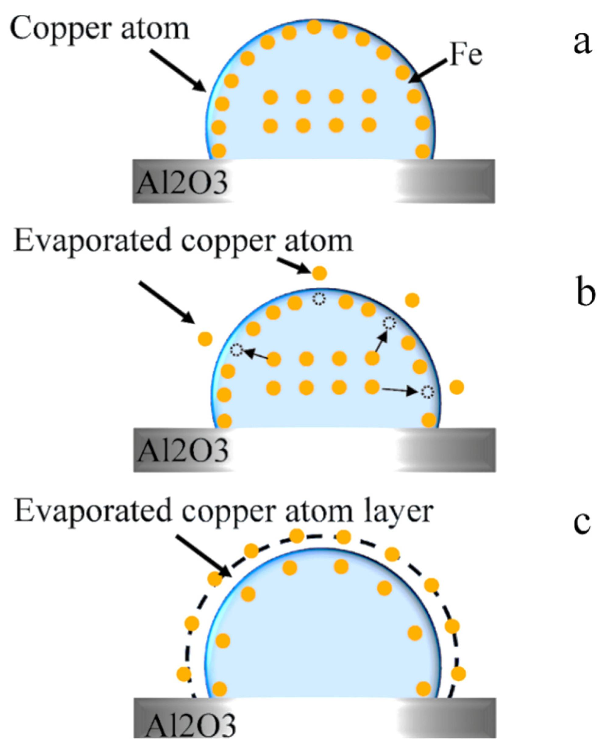 Metals 11 02030 g008