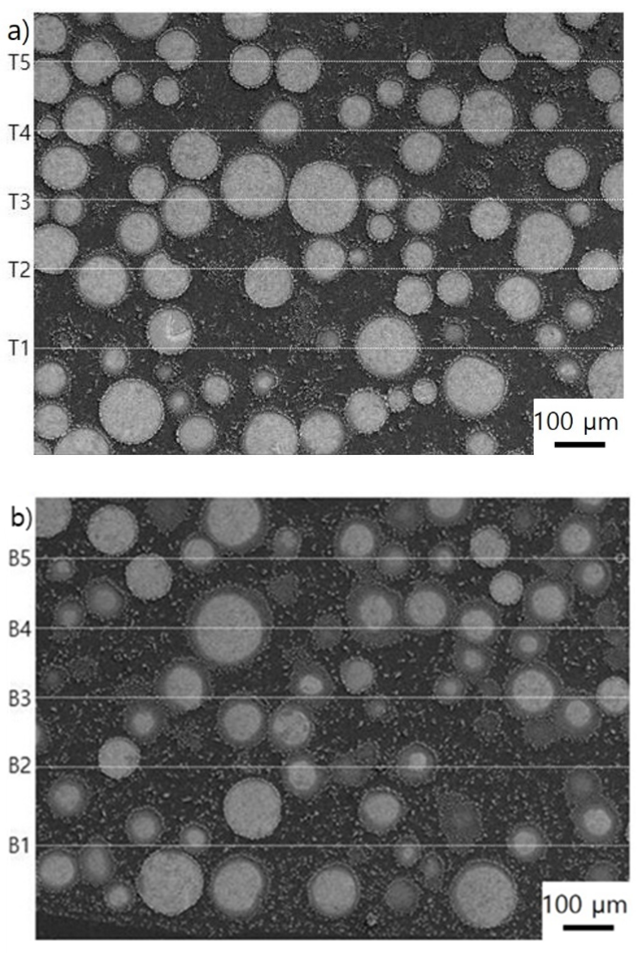 Metals 11 02035 g006