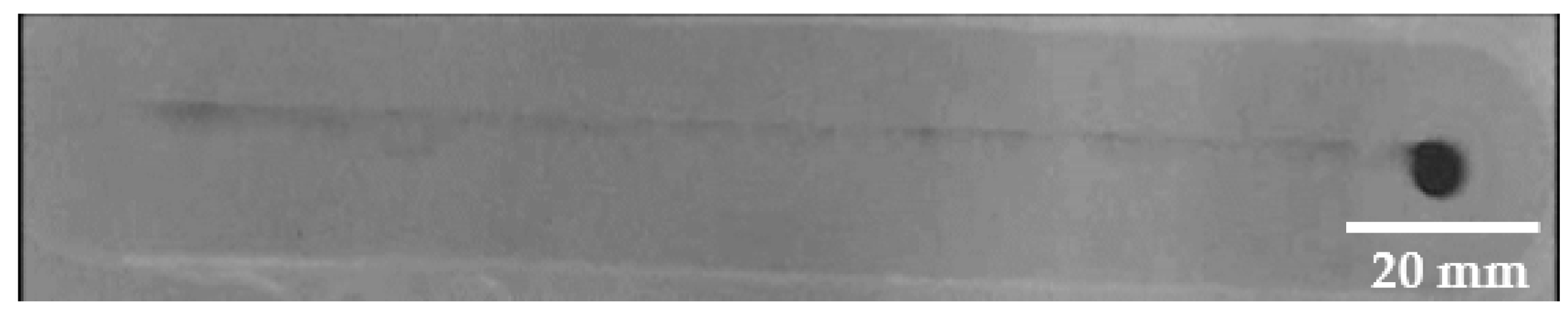 Metals 11 02042 g010 550