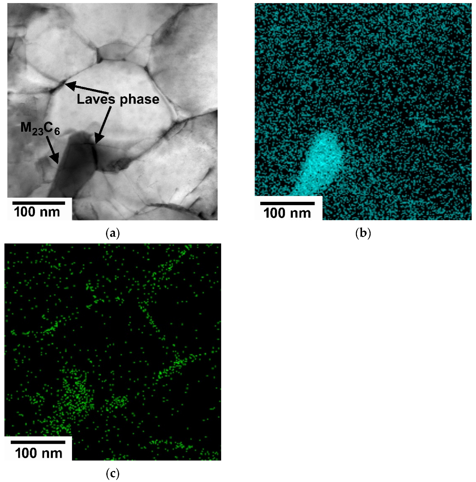 Metals 11 02044 g012