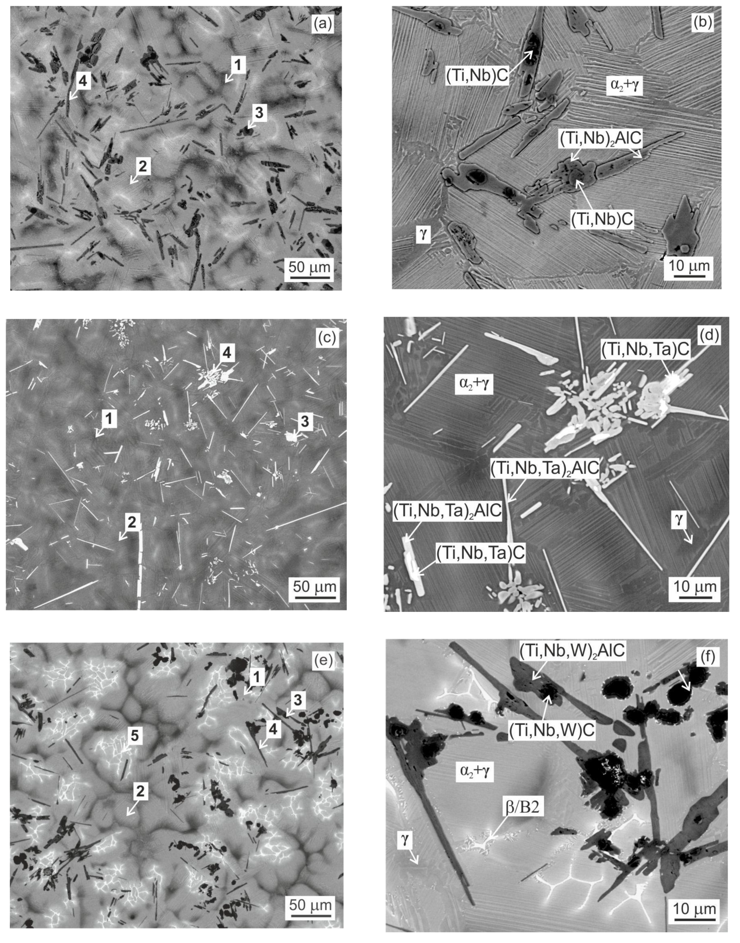 Metals 11 02052 g001 550