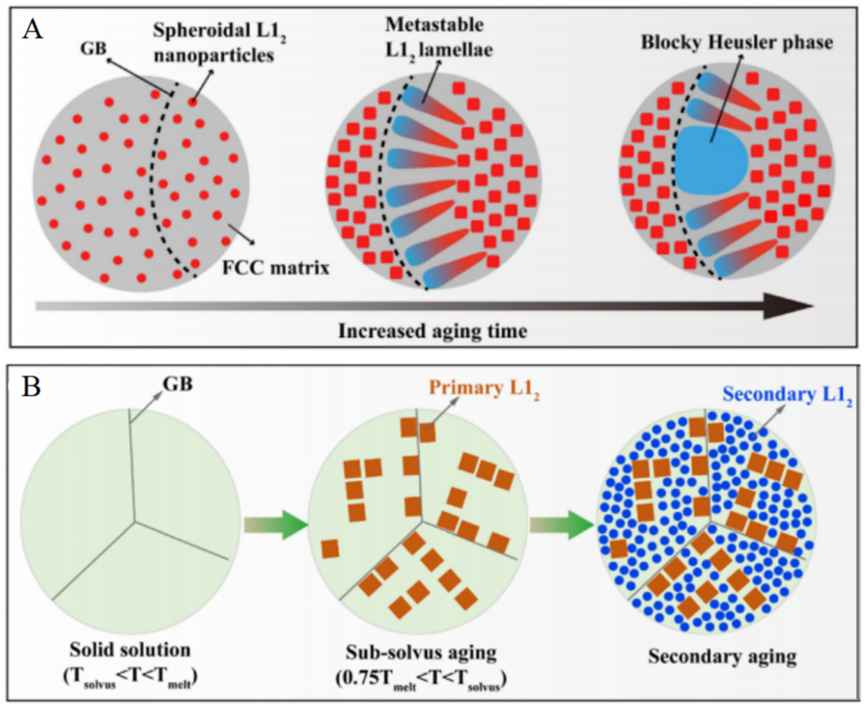 Metals 11 02054 g013