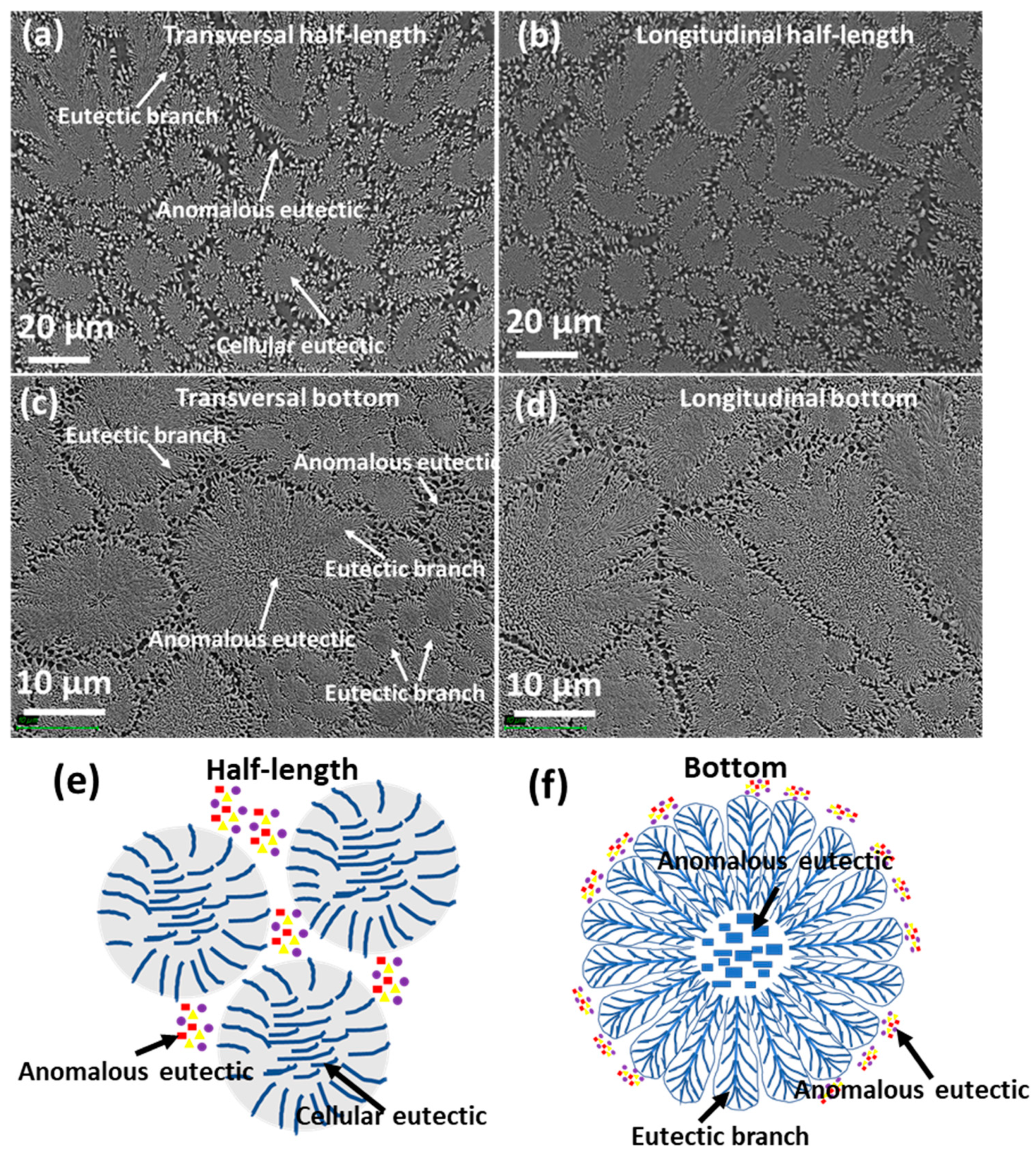 Metals 12 00007 g003 Metals 12 00007 g003