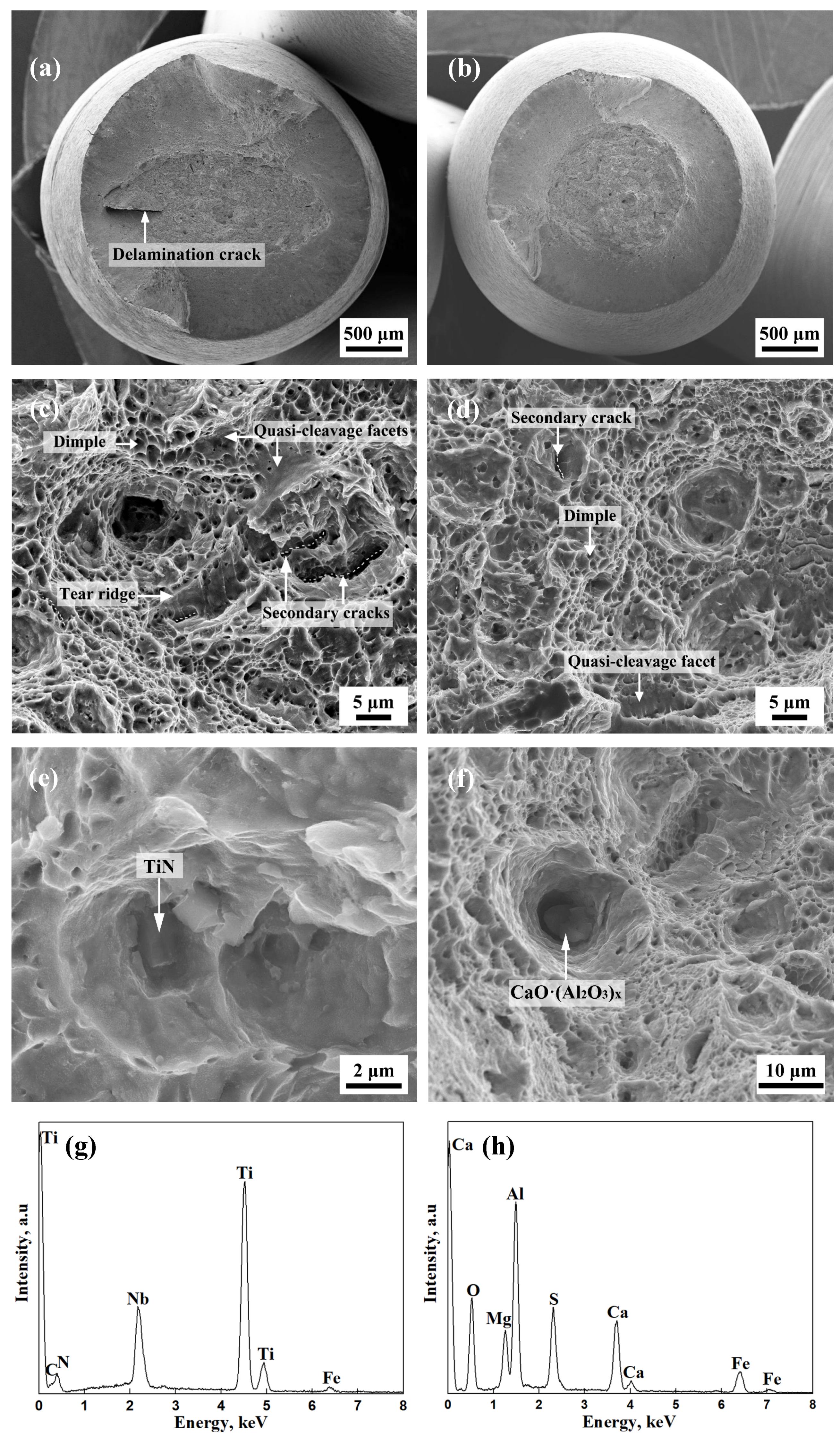 Metals 12 00021 g004