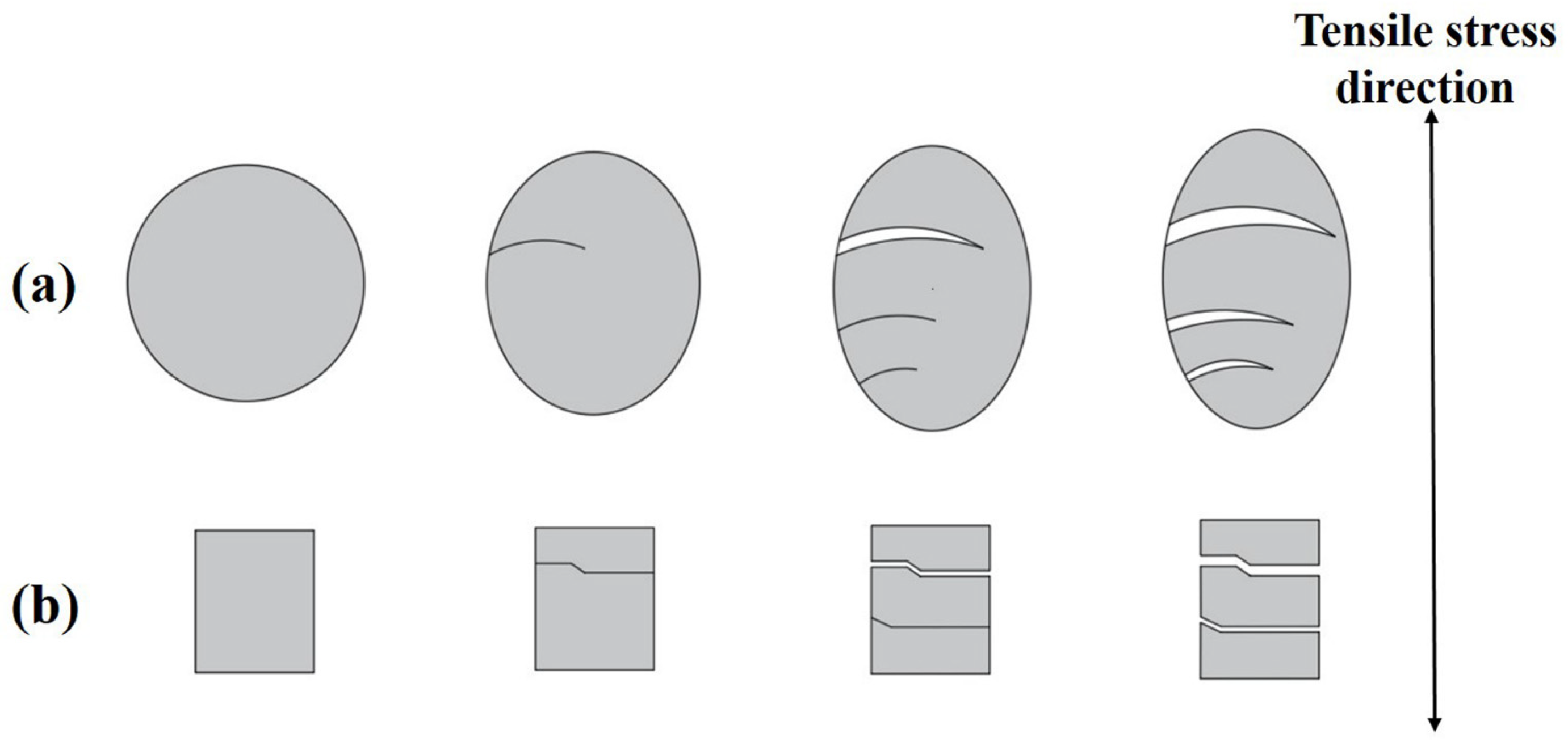 Metals 12 00021 g006