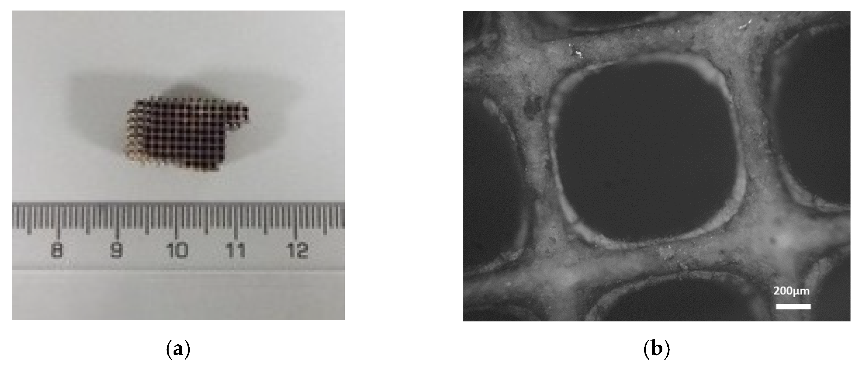 Metals 12 00031 g007 550