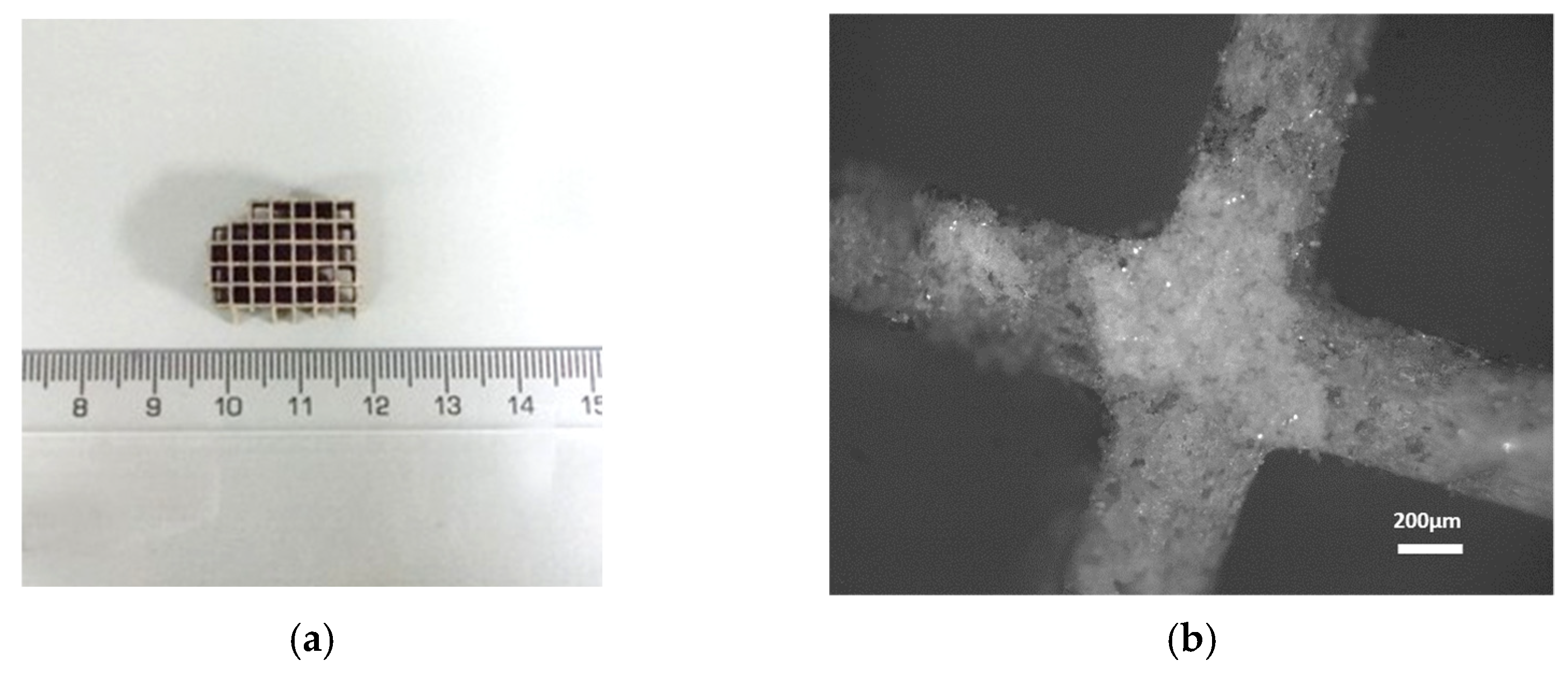 Metals 12 00031 g009 550