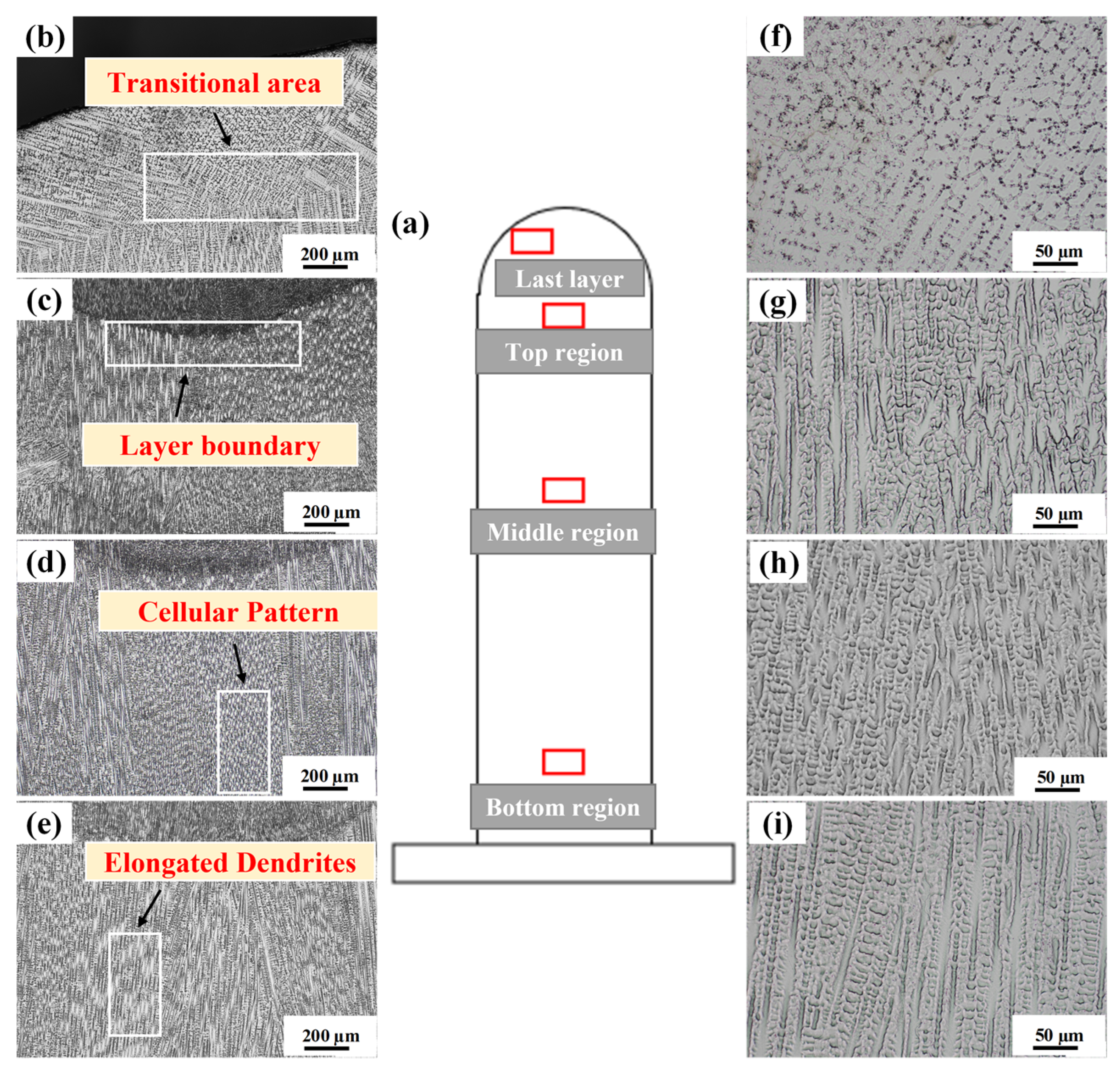 Metals 12 00046 g004