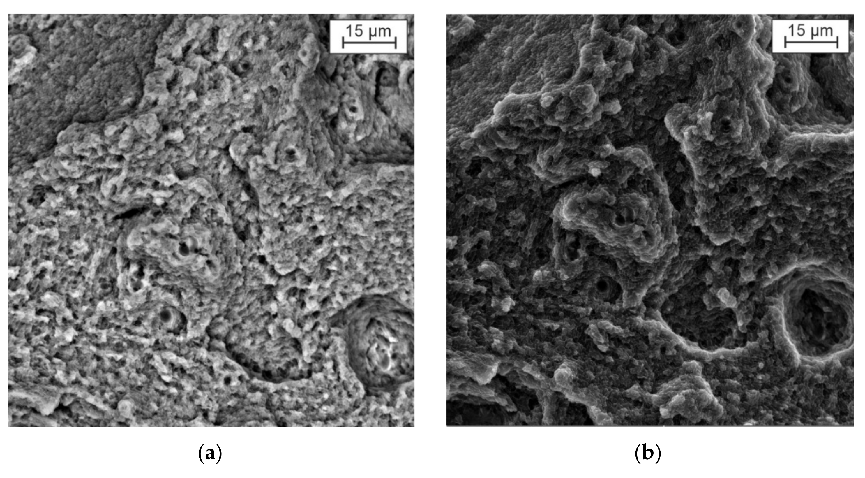 Metals 12 00067 g010