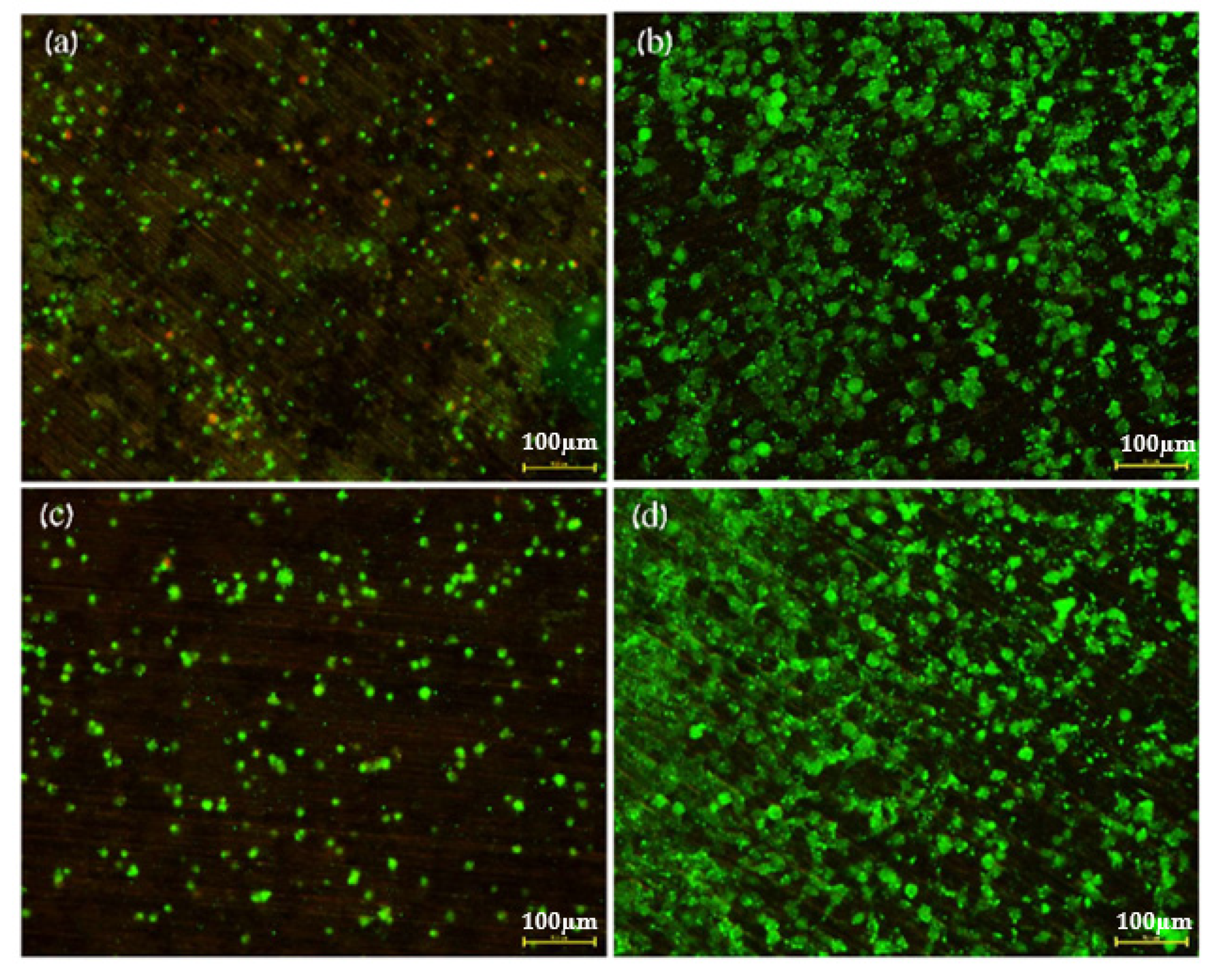 Metals 12 00076 g012