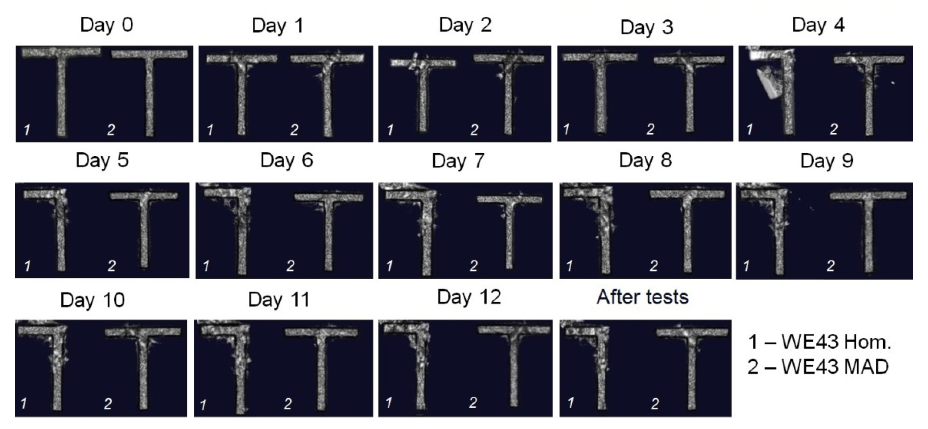 Metals 12 00105 g005 Metals 12 00105 g005