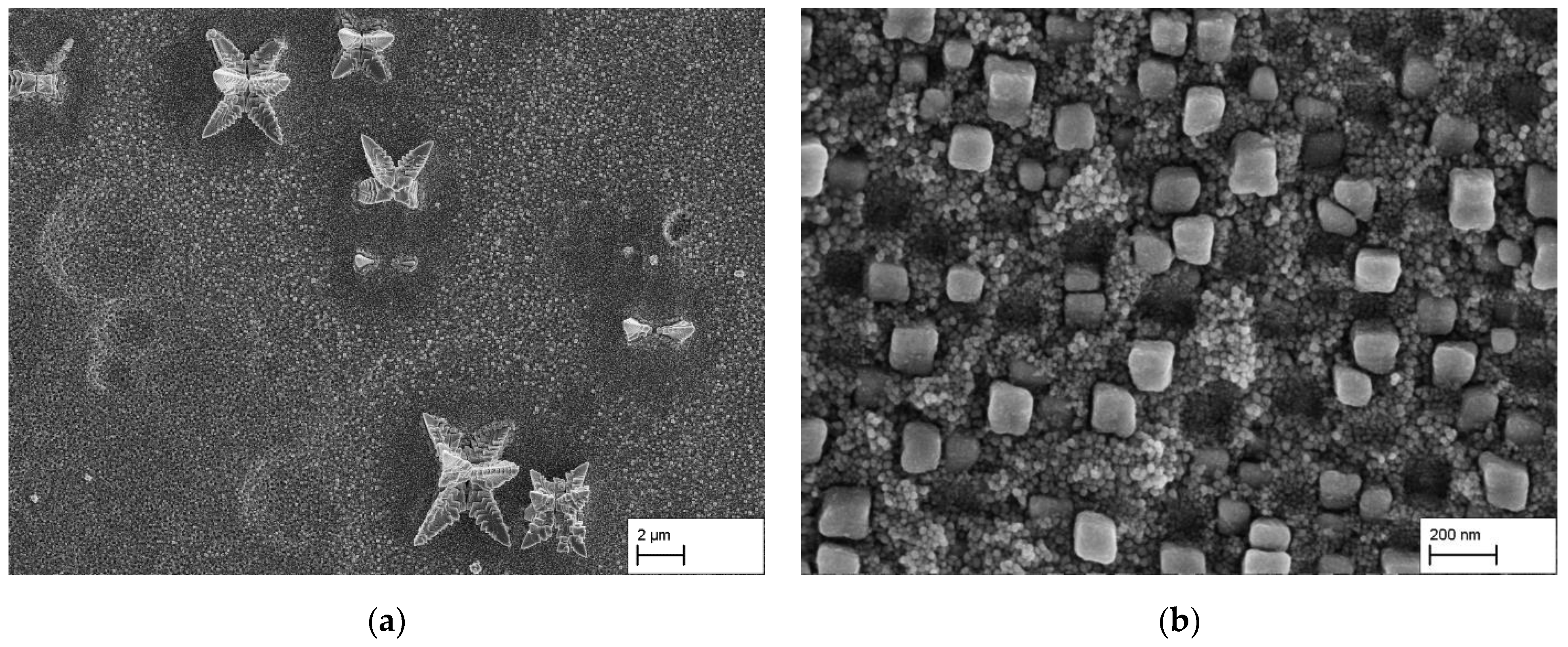 Metals 12 00134 g001 550