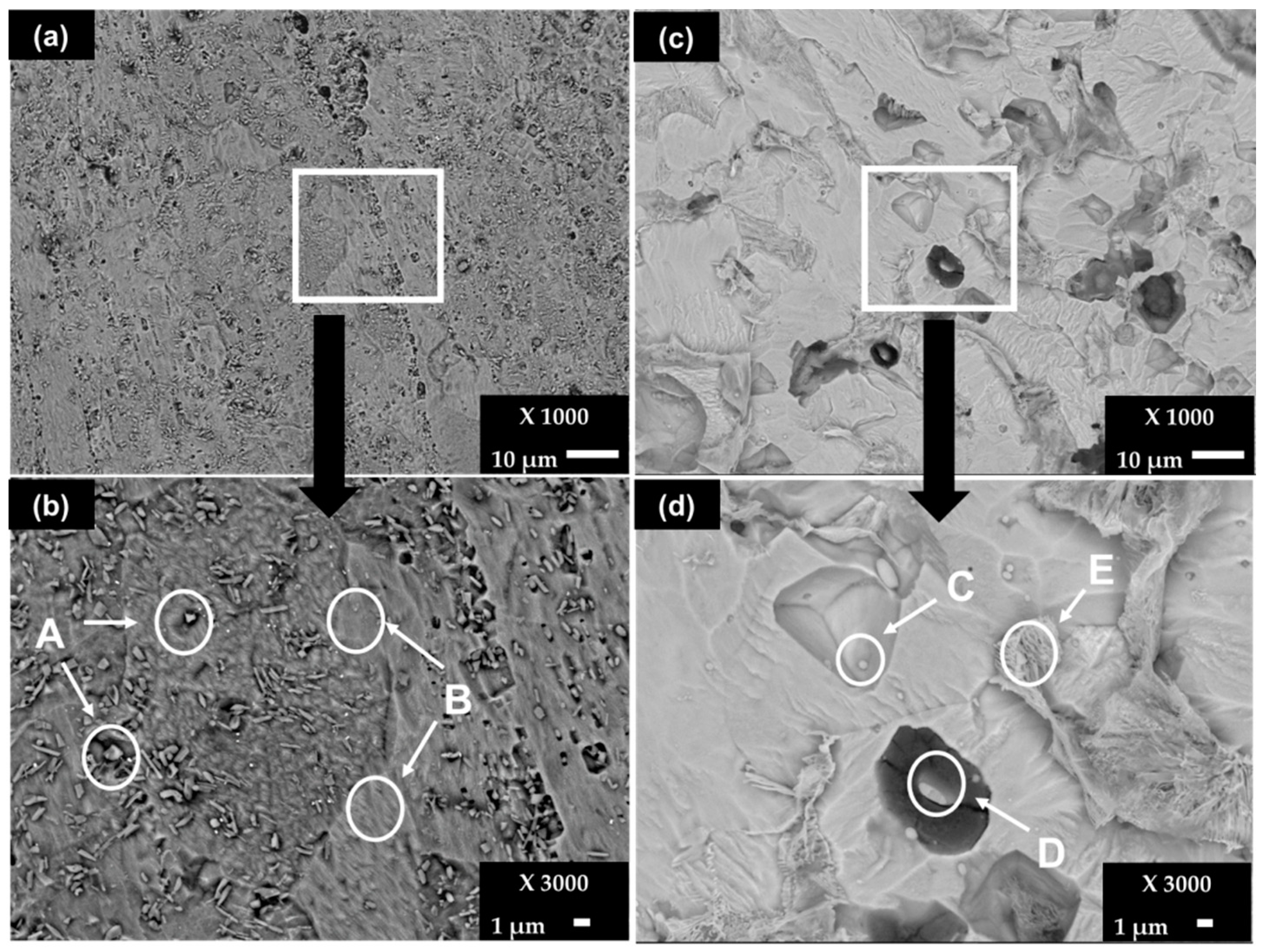 Metals 12 00150 g005