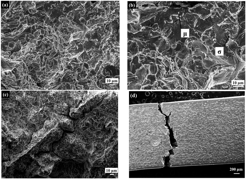 Metals 12 00191 g012