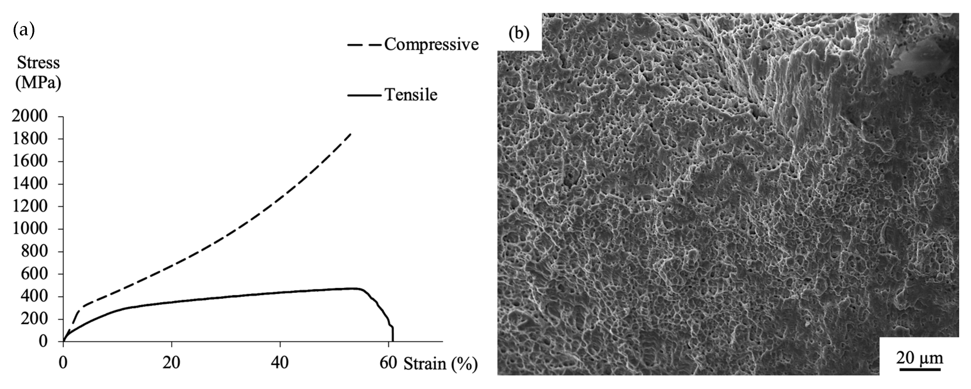 Metals 12 00197 g006