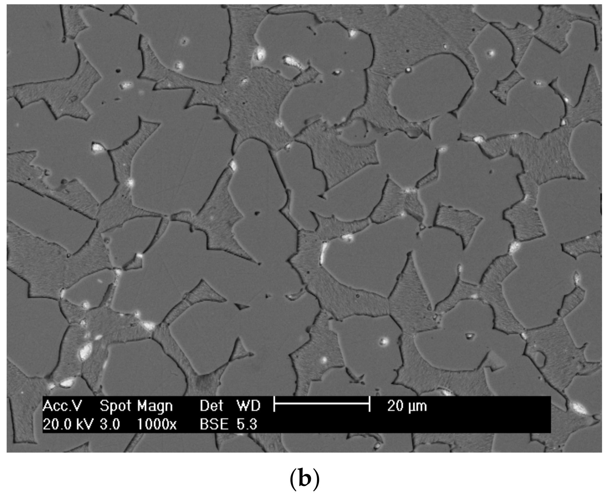 Metals 12 00246 g001b Metals 12 00246 g001b