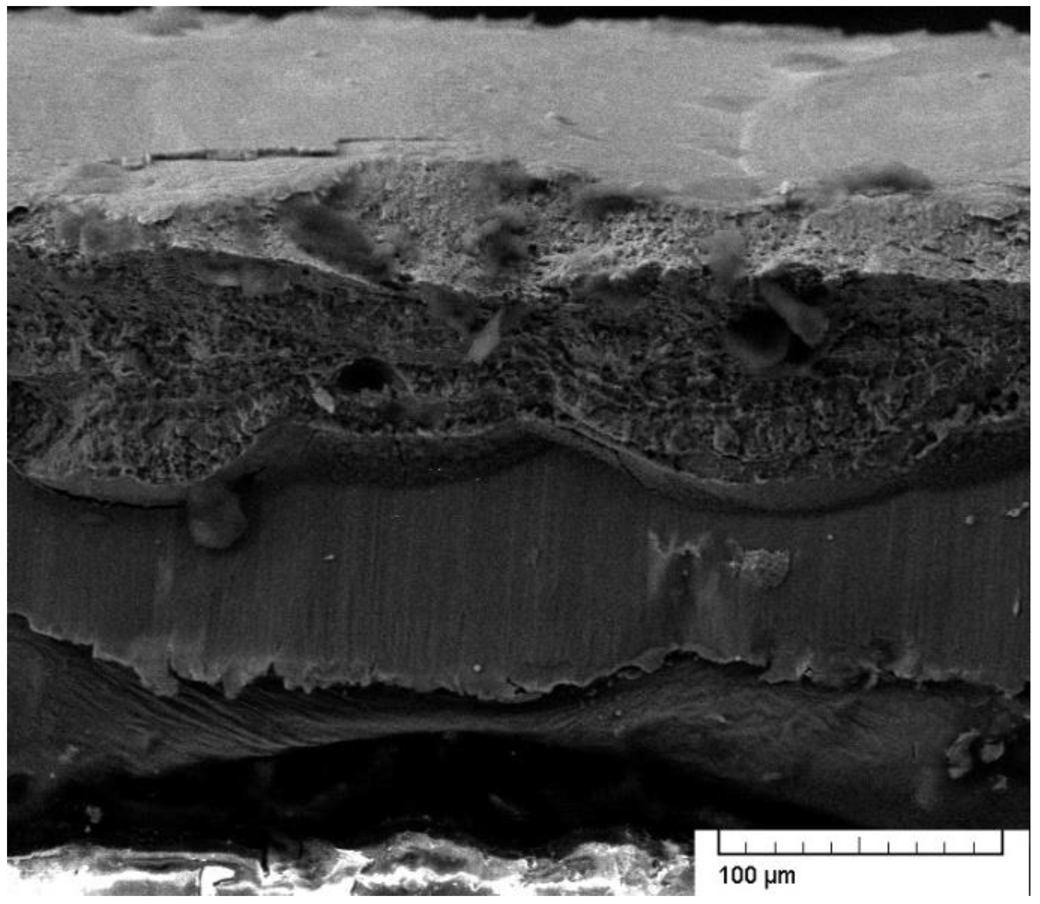 Metals 12 00256 g006