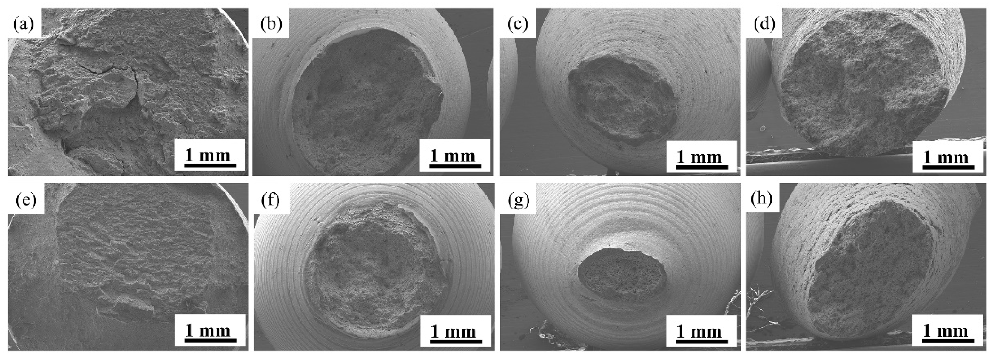 Metals 12 00259 g008