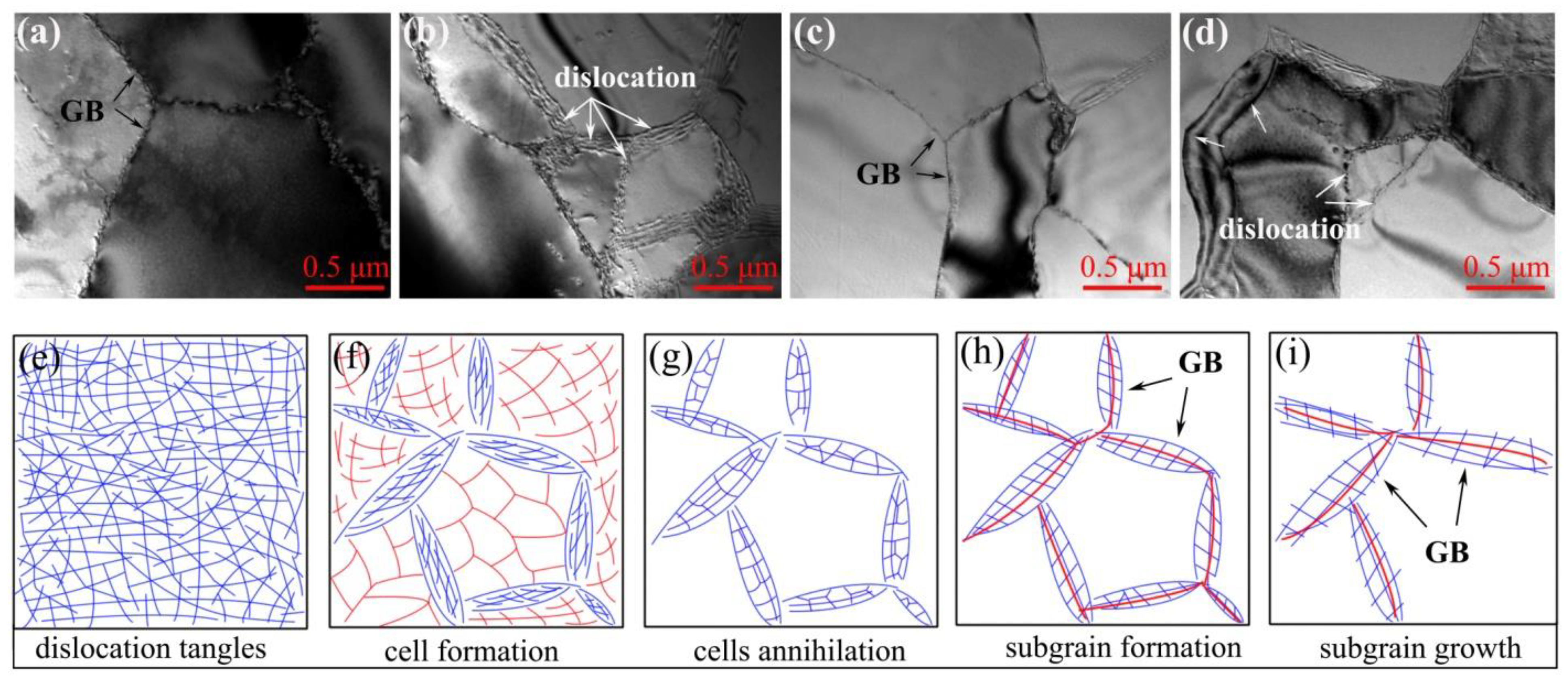 Metals 12 00260 g007