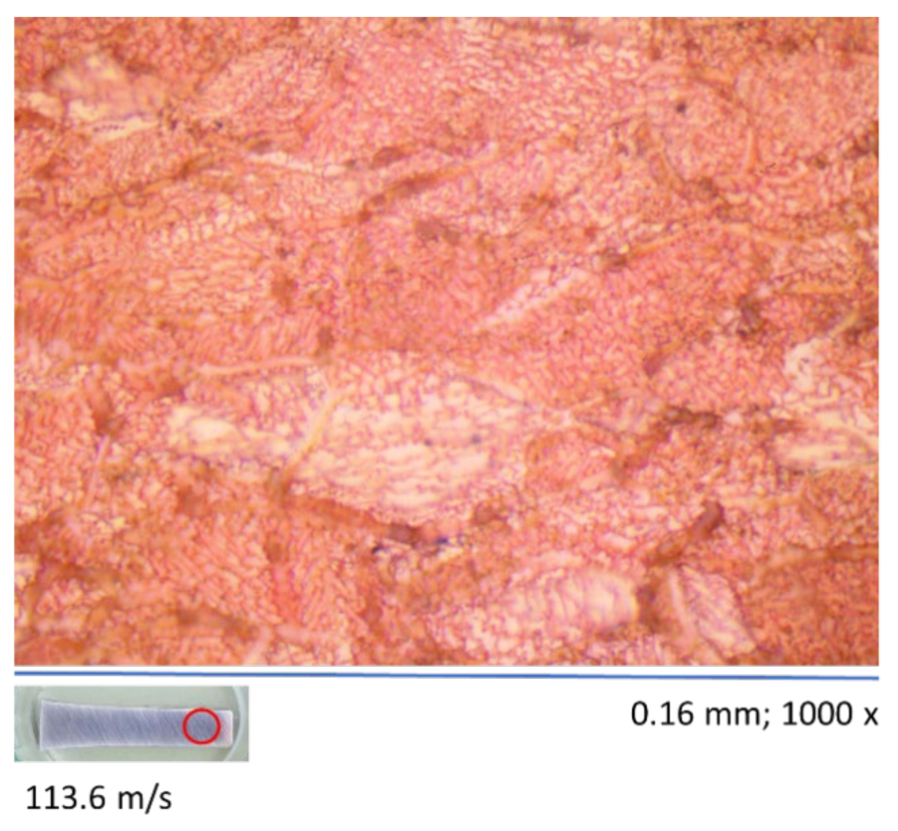 Metals 12 00264 g010