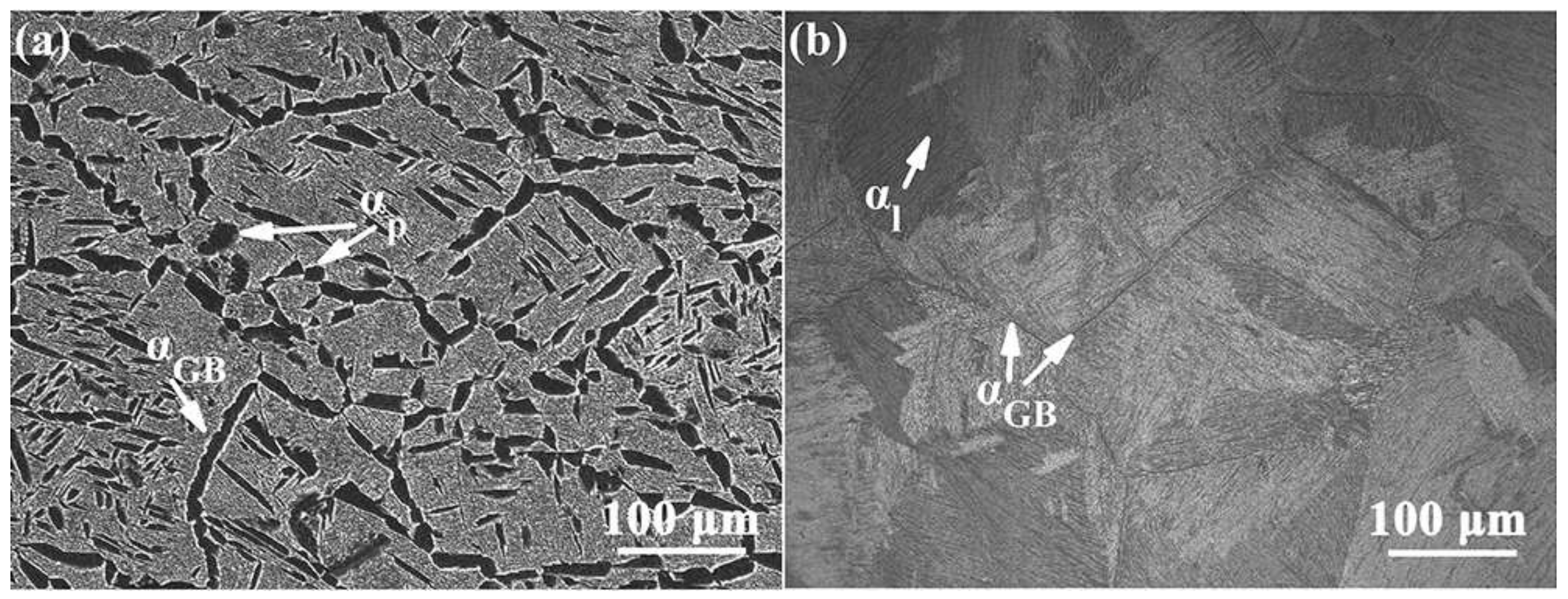 Metals 12 00271 g003 550