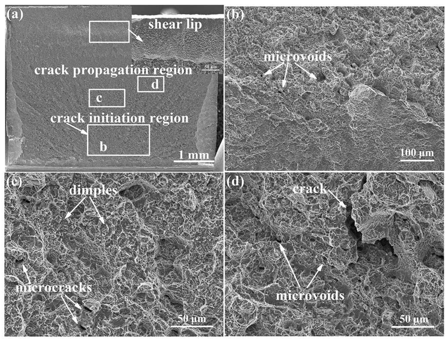 Metals 12 00271 g006 550