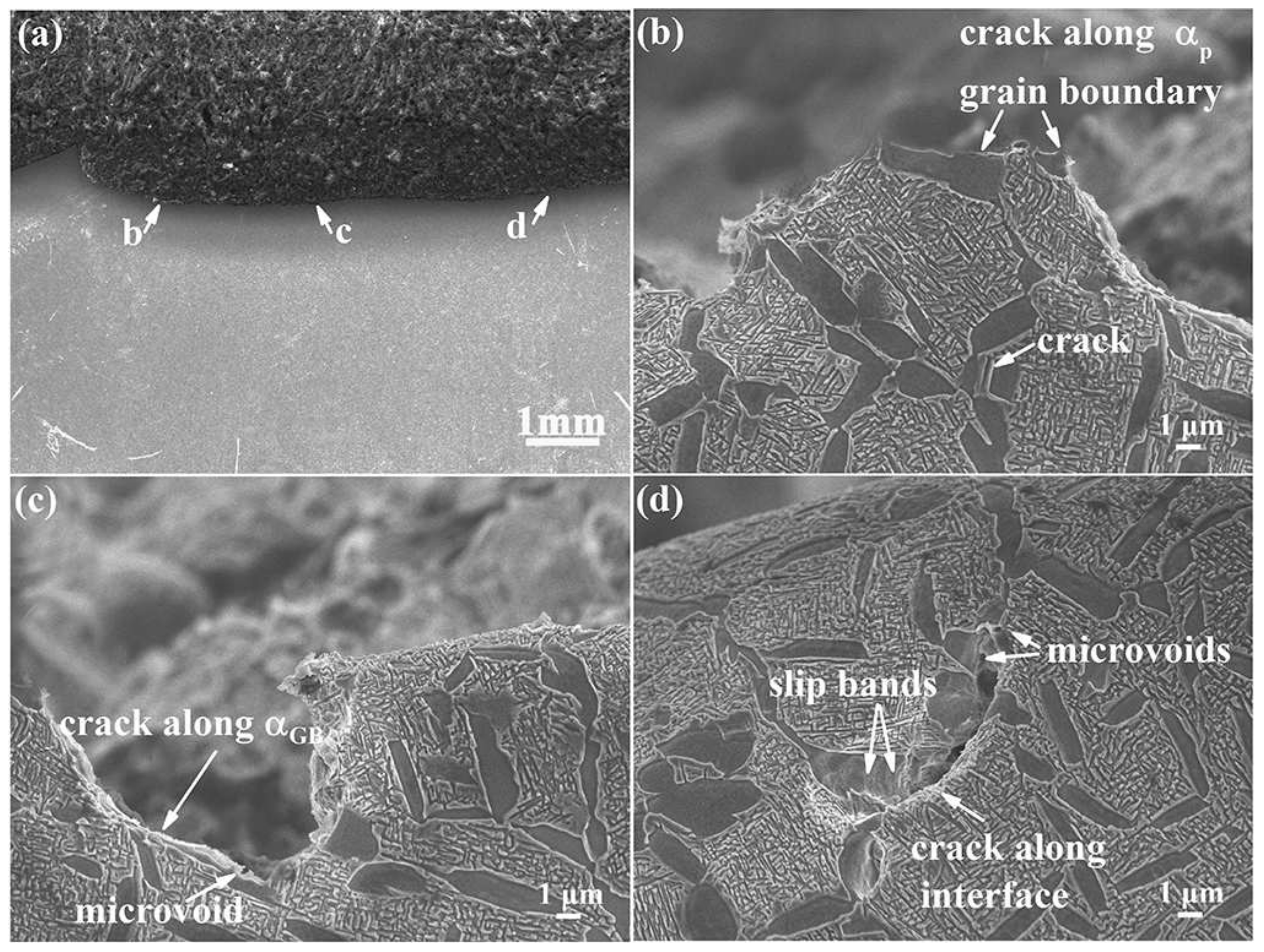 Metals 12 00271 g008 550