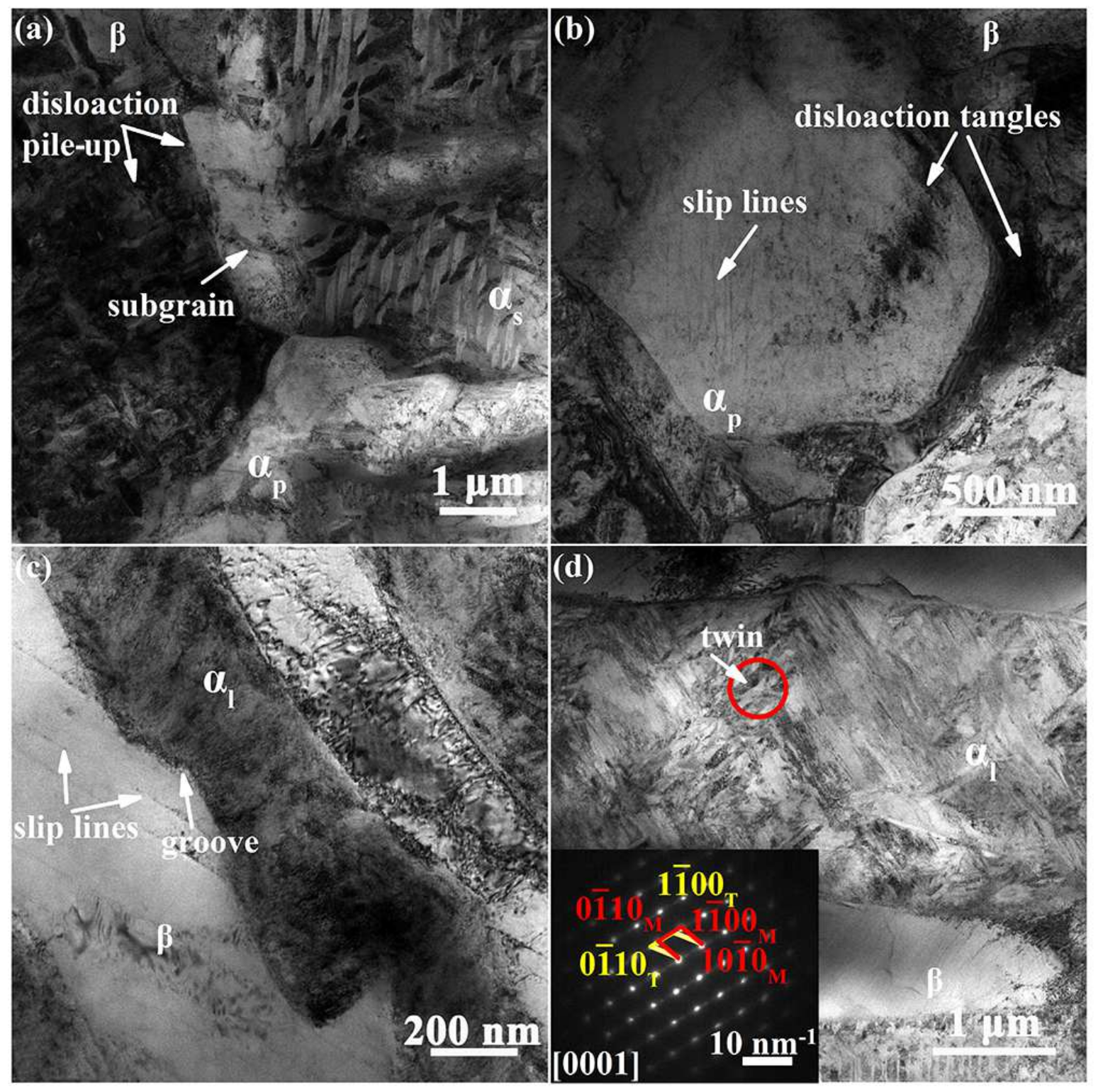 Metals 12 00271 g010 550