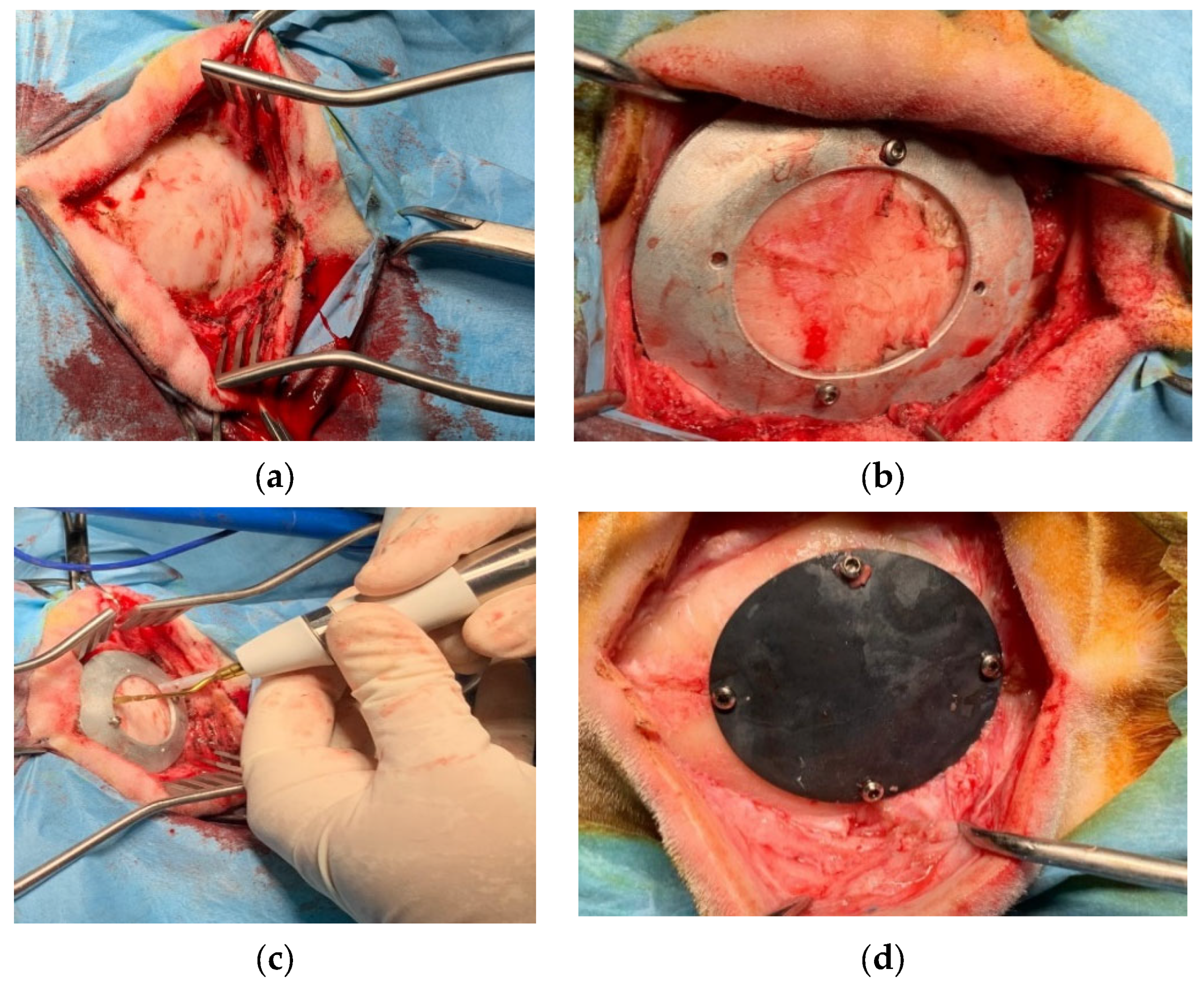 Metals 12 00293 g011 Metals 12 00293 g011
