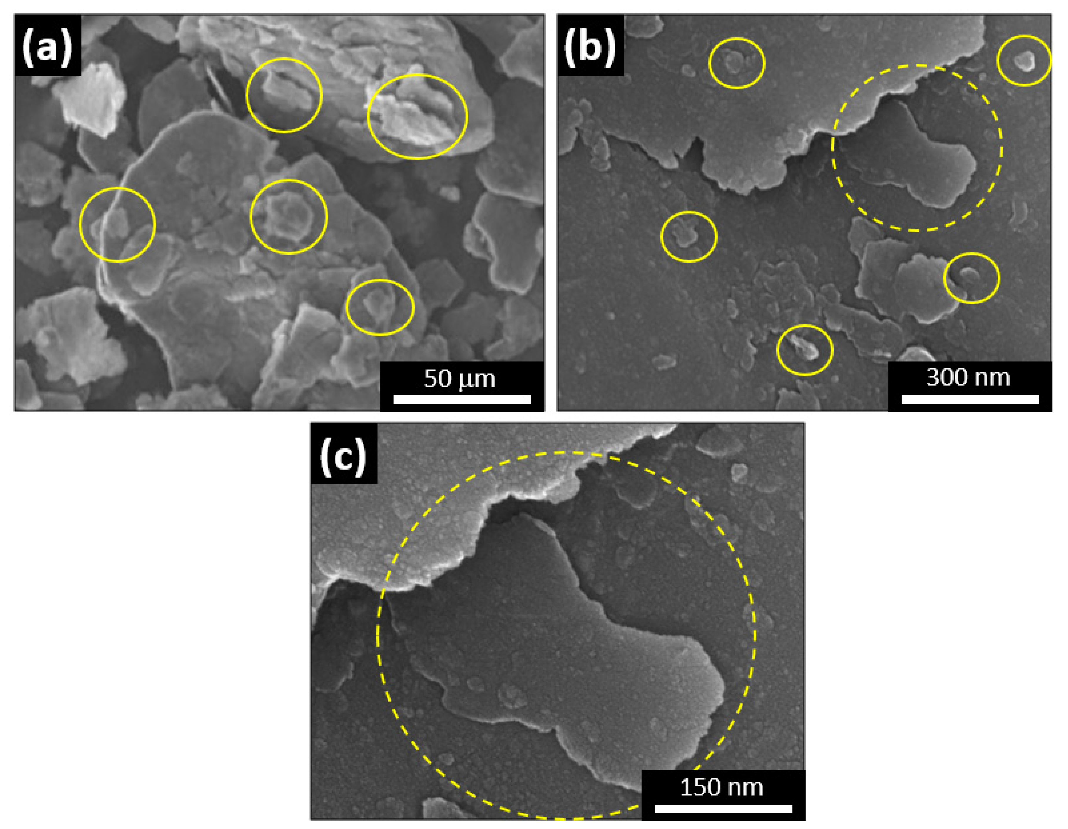 Metals 12 00323 g001 550
