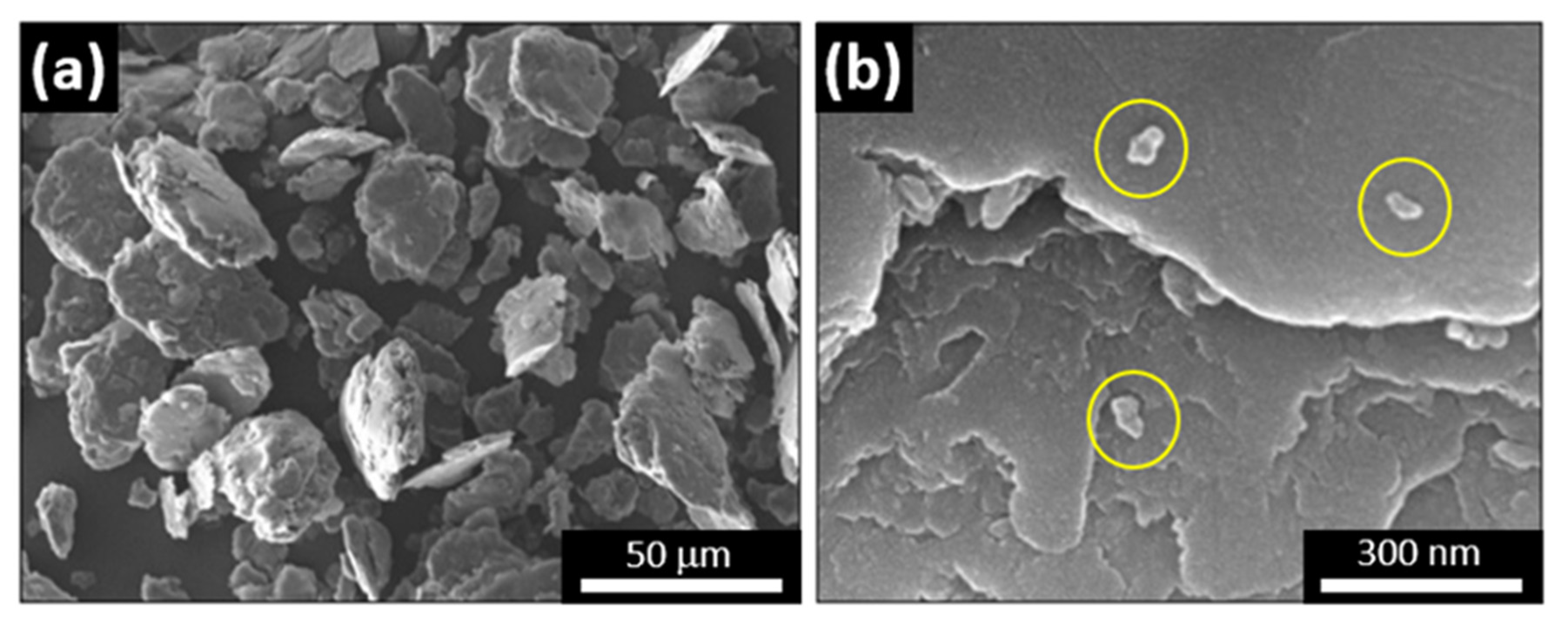 Metals 12 00323 g003 550