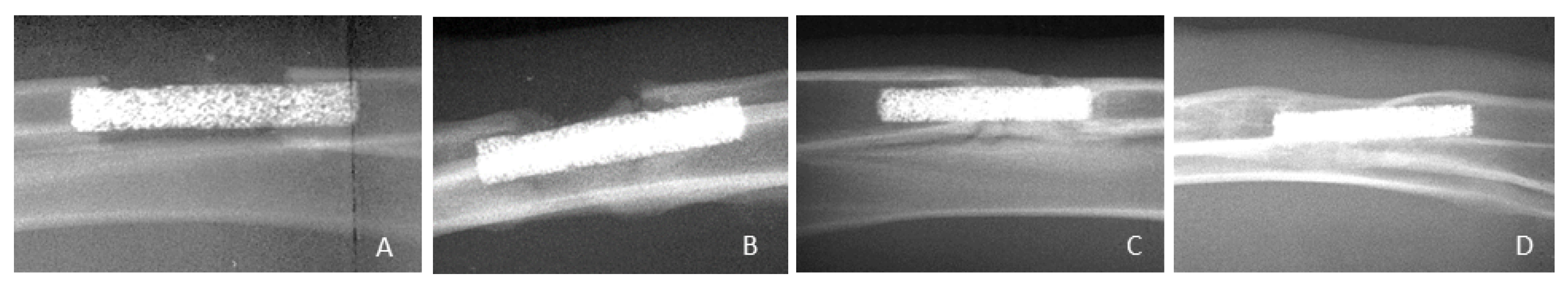 Metals 12 00327 g003